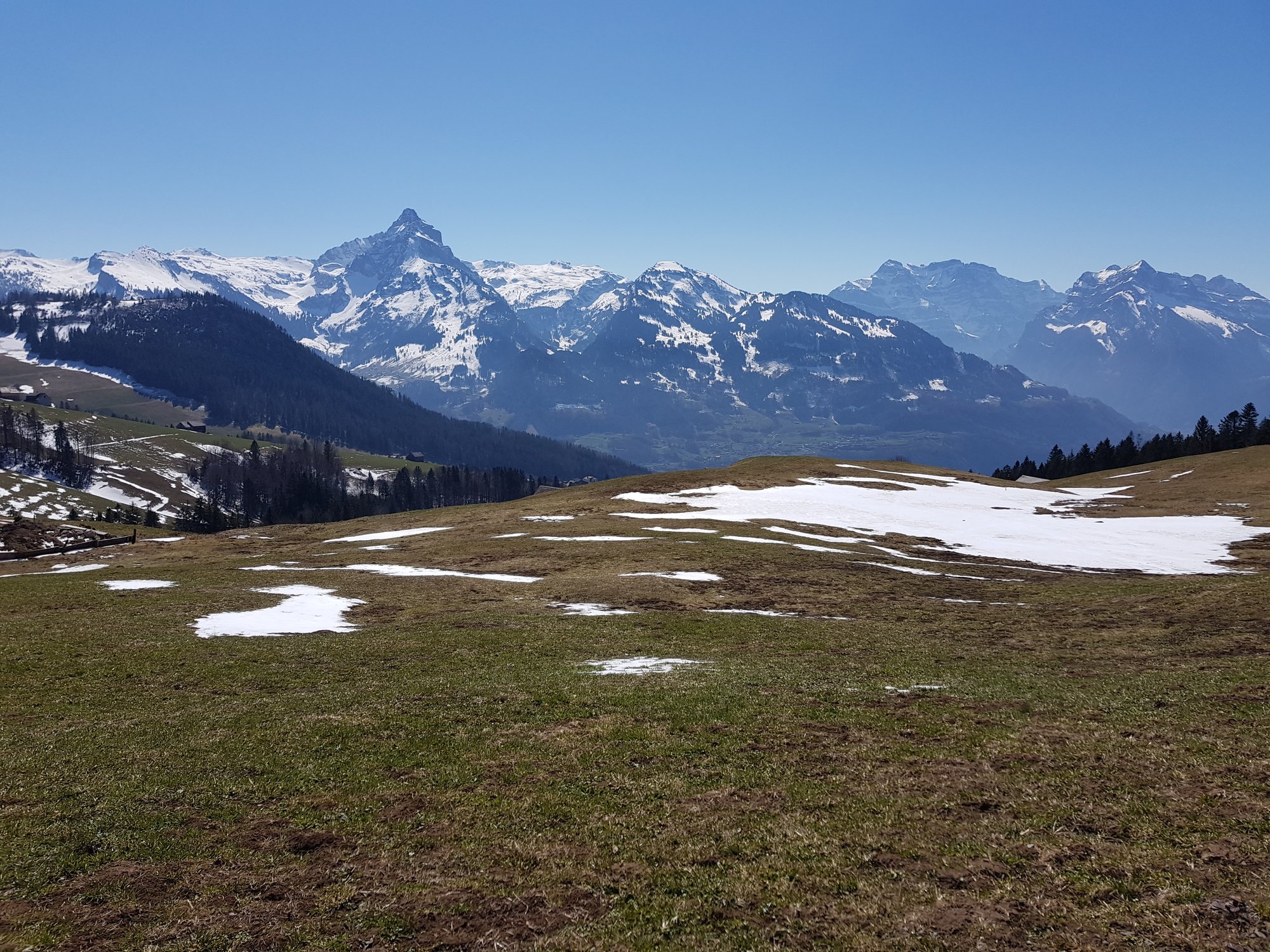 Wanderung: Amden - Hinter Höhi - Amden (11km / 510HM)