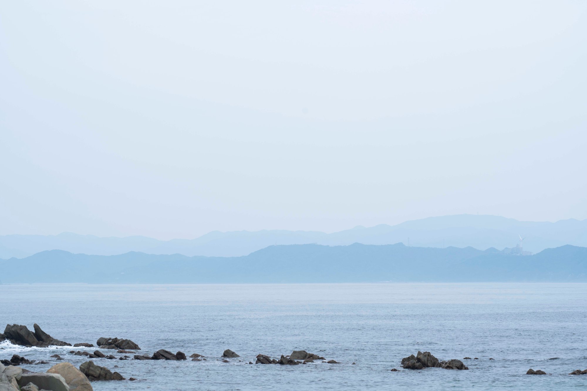 価値ある写真の提供