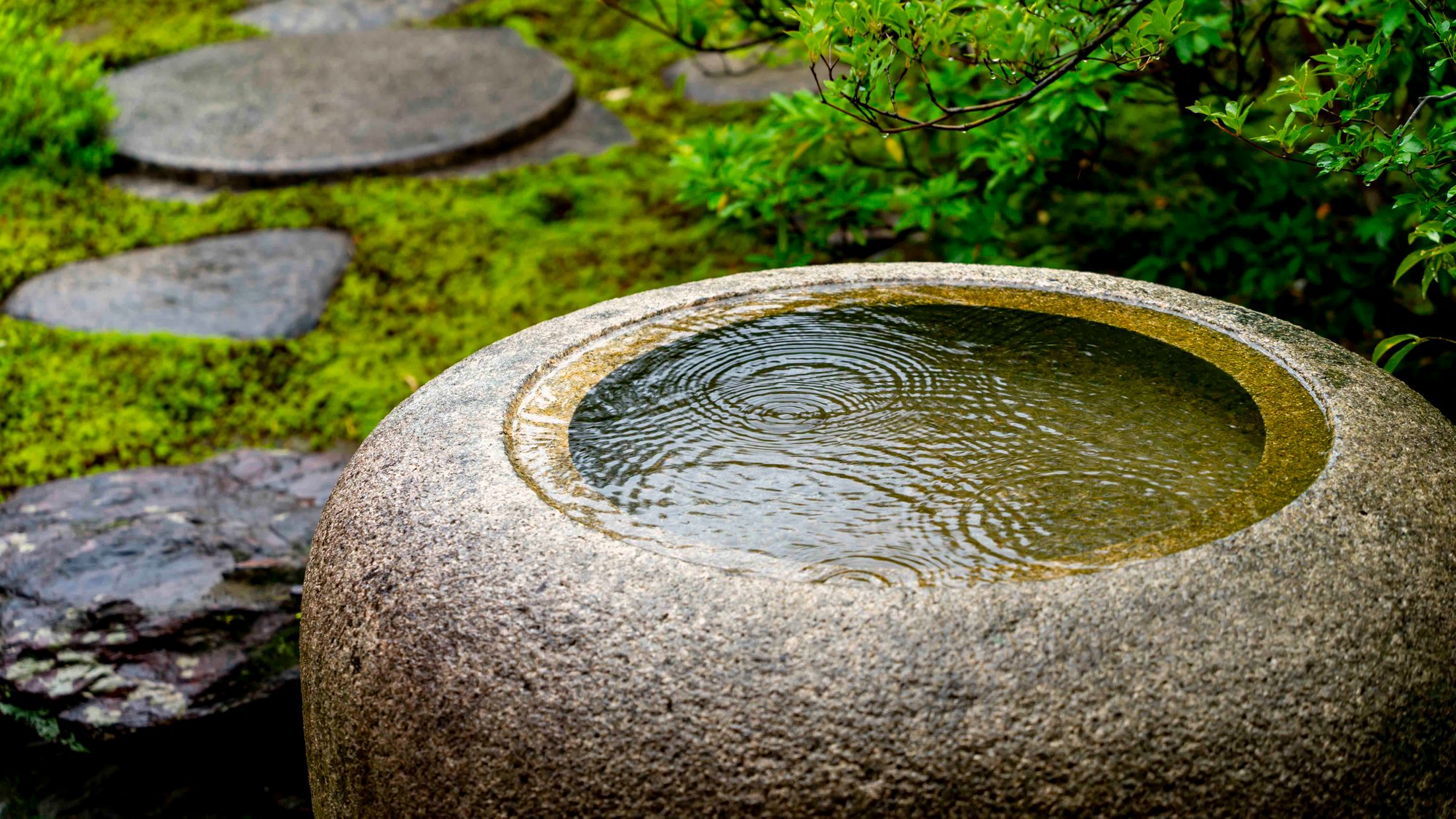 屋外撮影、スタジオ撮影どっちが良い？