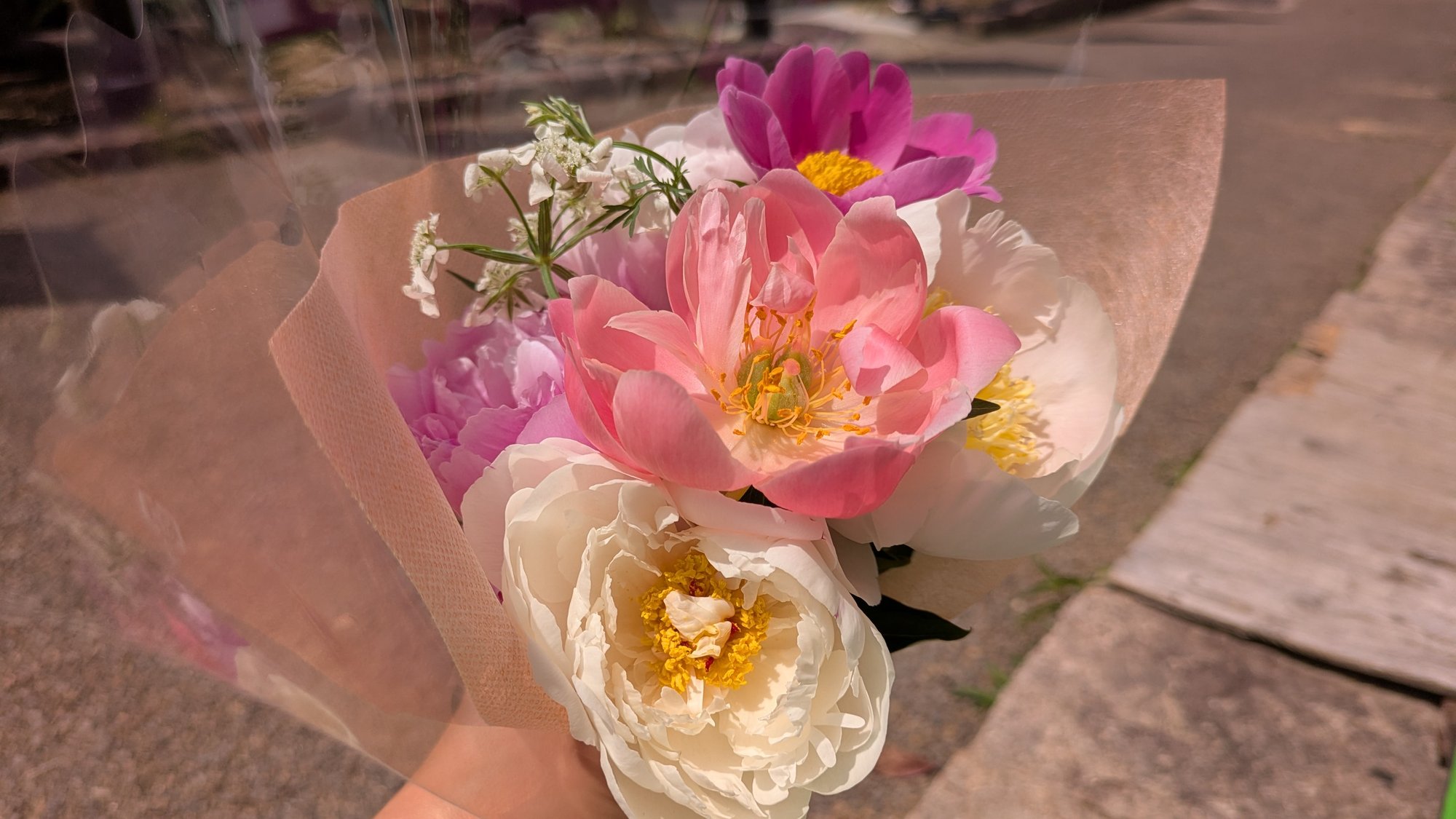 切り花特価キャンペーン実施