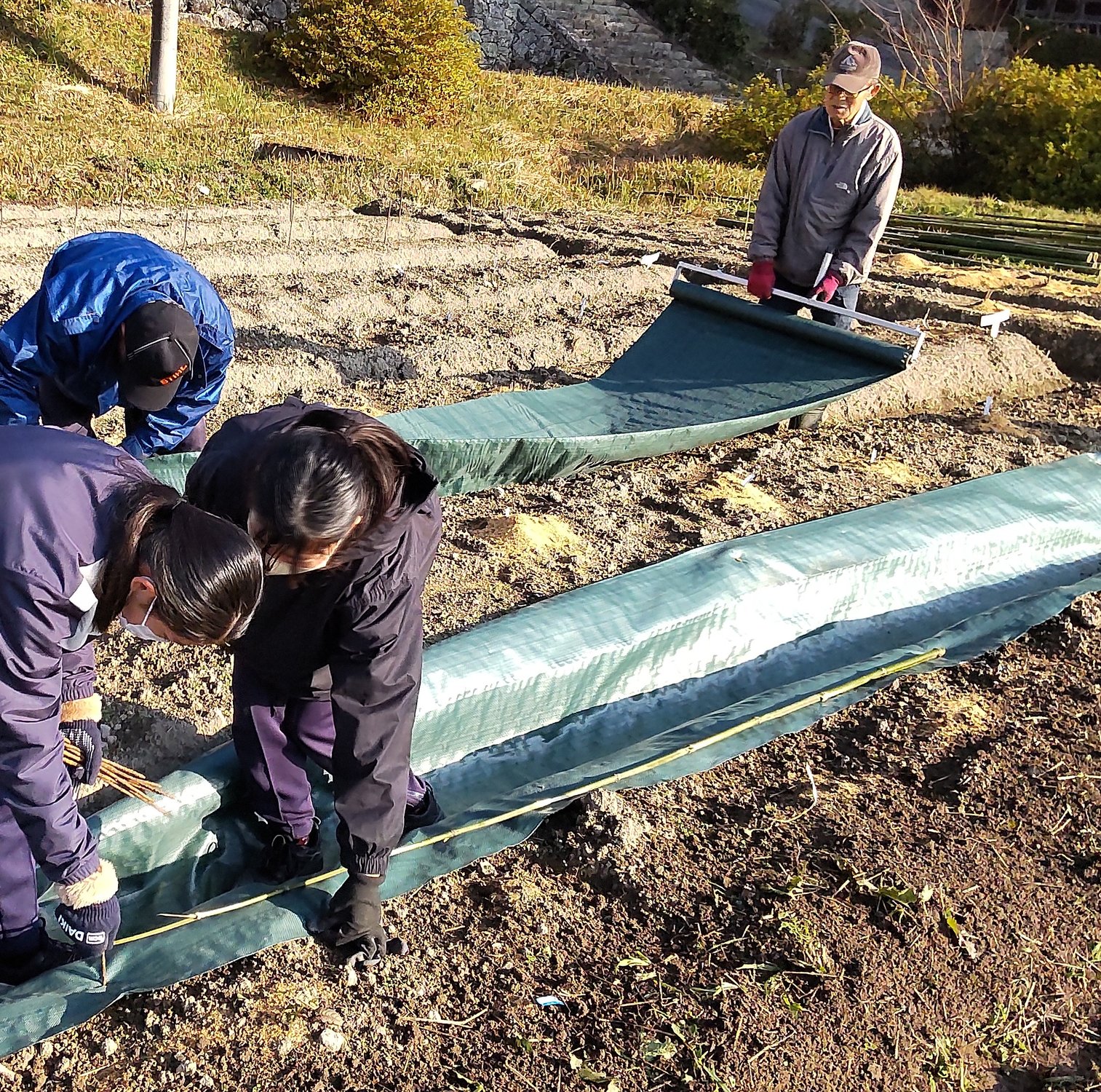 トライやる　４日目