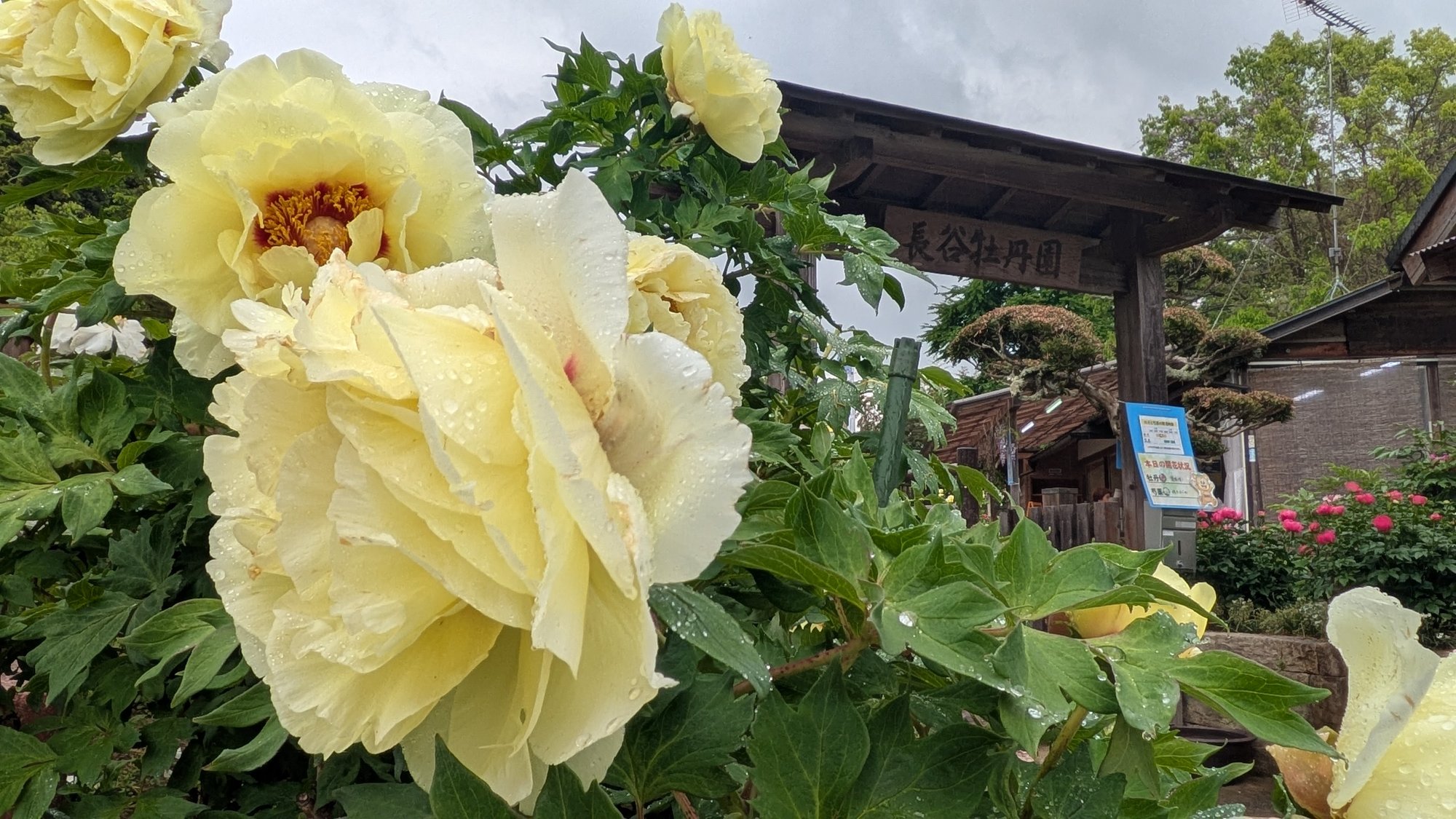 2025年度開園期間終了に伴うご挨拶