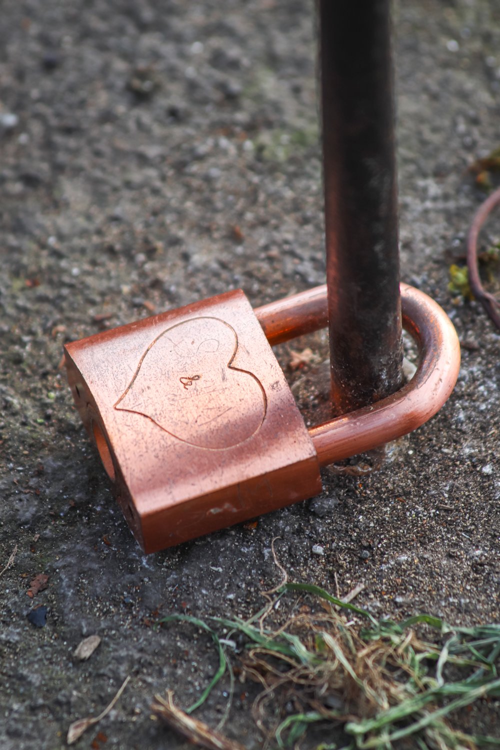 L'ACCUEIL DES ÉMOTIONS