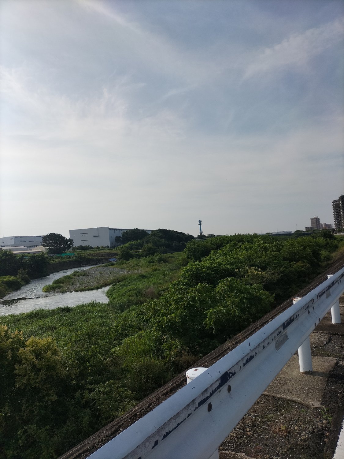 今日は7月５日　笑