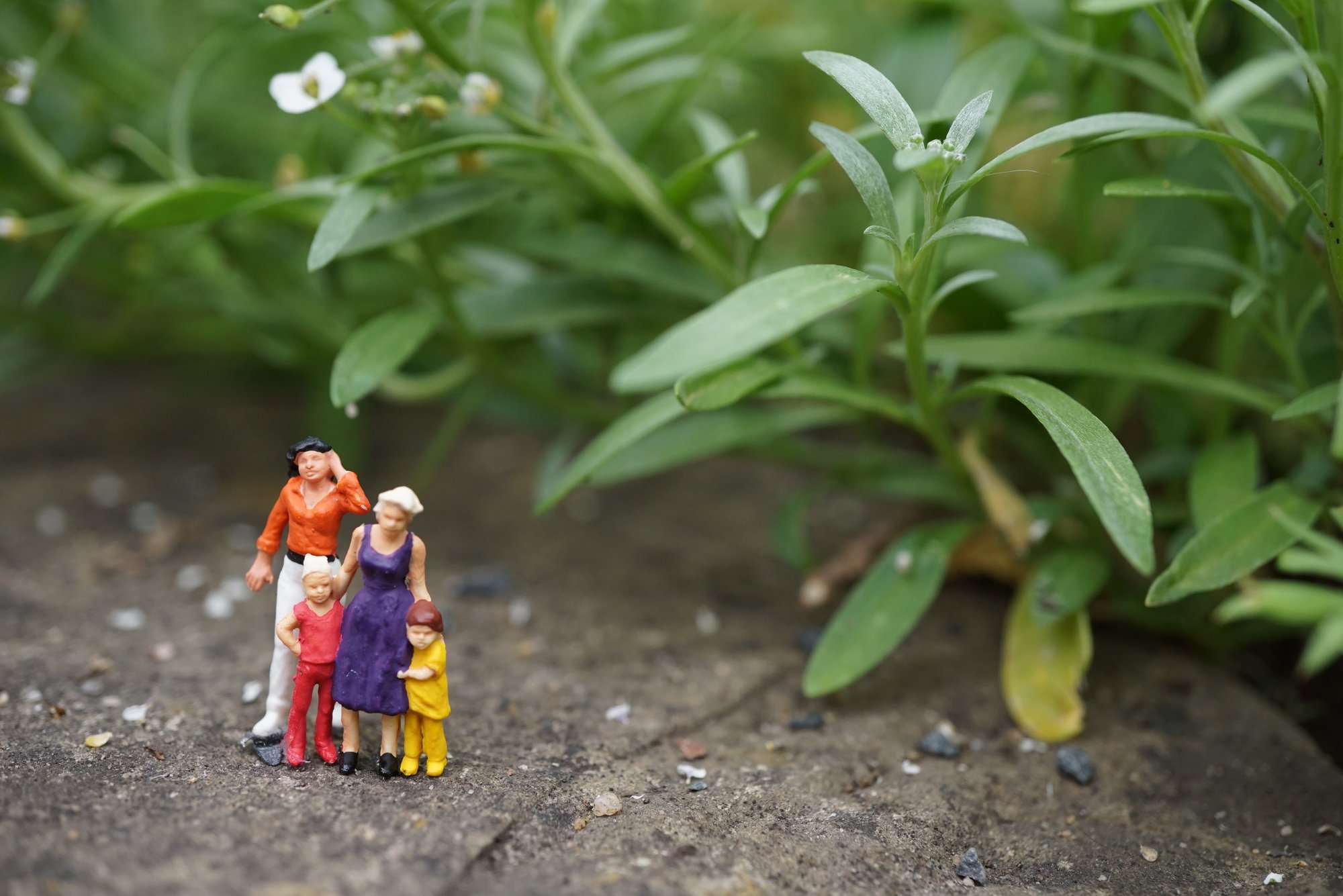 Gesucht: Vater fürs Vater-Kind-Zelten