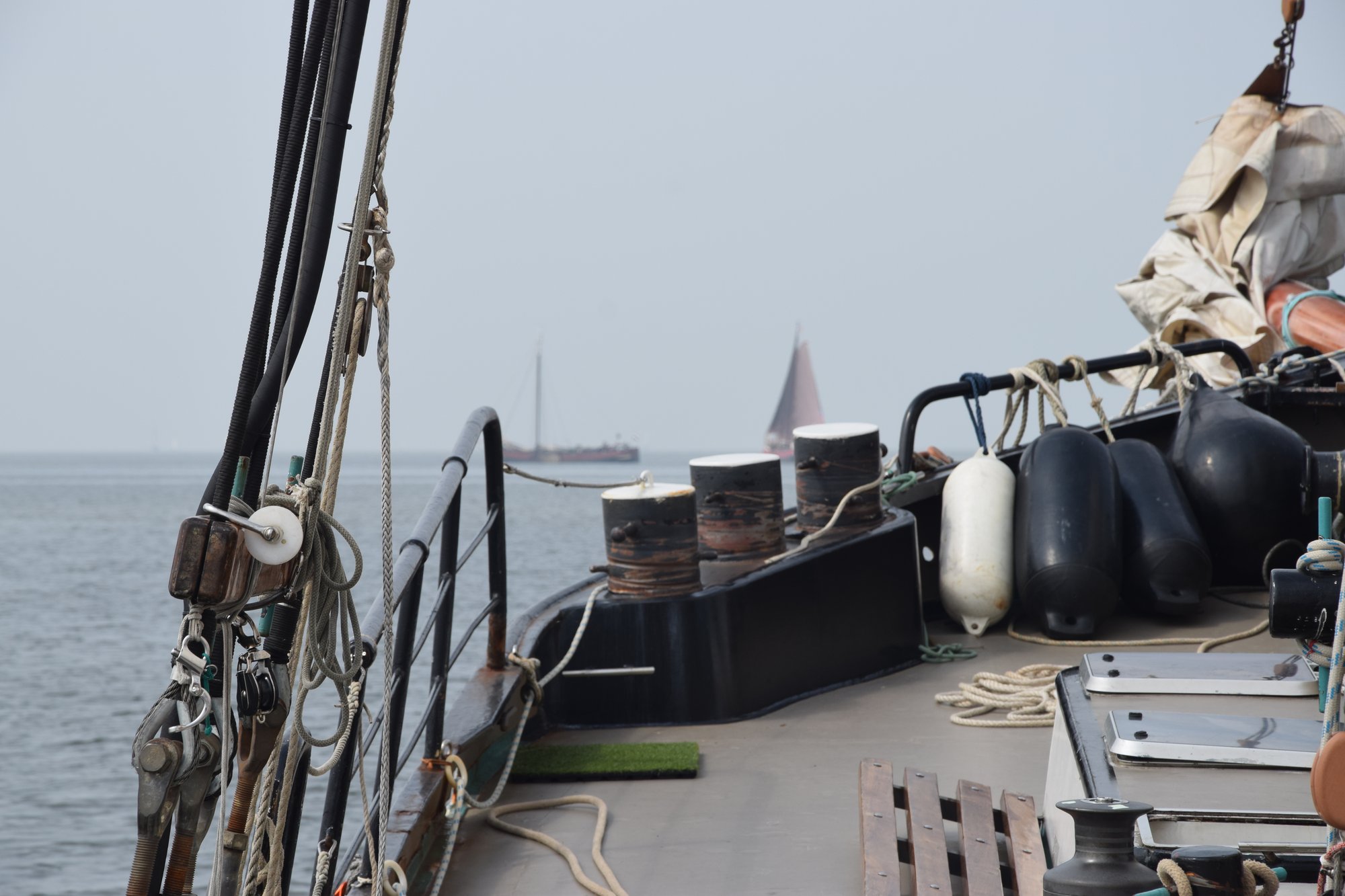 Doppelflotte auf dem IJsslmeer gesichtet