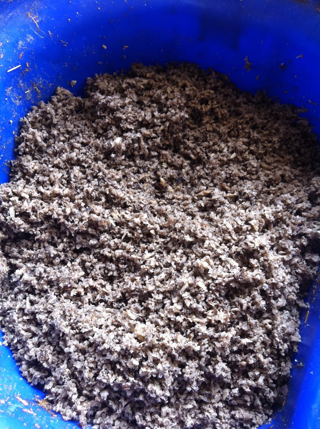 EFFET DE LA PULPE DE BETTERAVE SUCRIERE SUR LA COMPOSITION ET LE FONCTIONNEMENT DU MICROBIOTE FECAL EQUIN