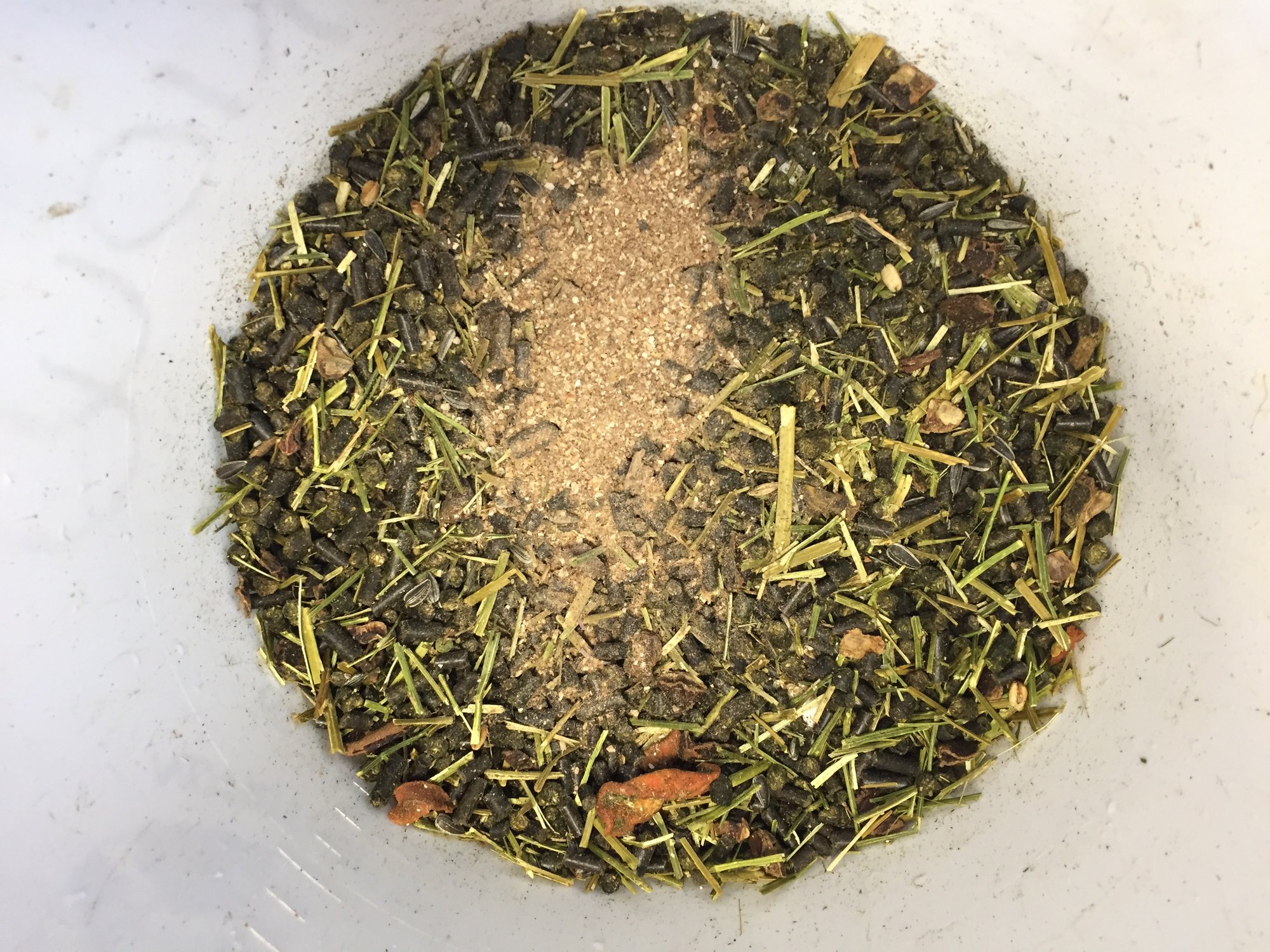 Pas de protéines, pas de cheval!