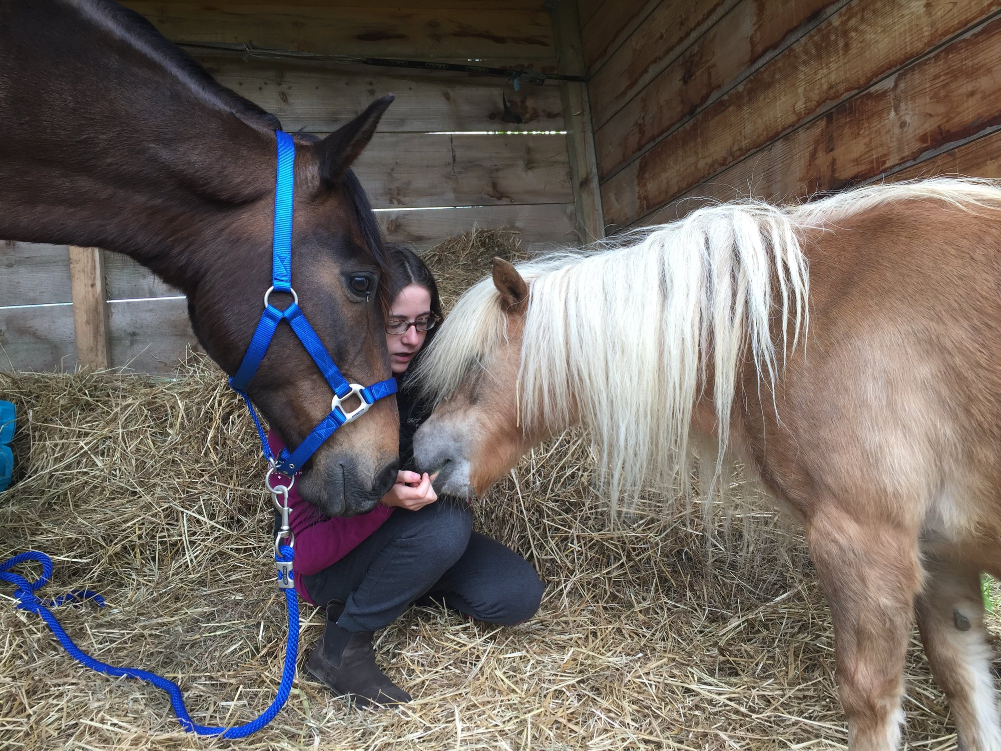 CMV: intérêts, avantages et limites