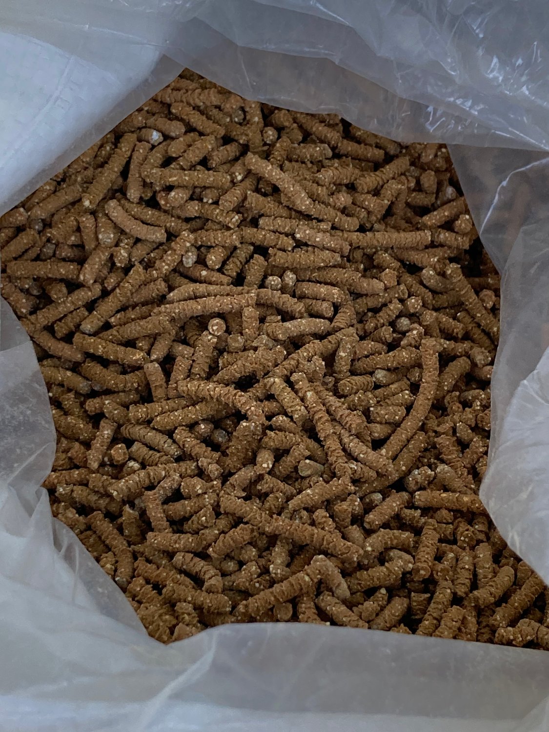 CMV : Effet de mode ou nécessité ? 