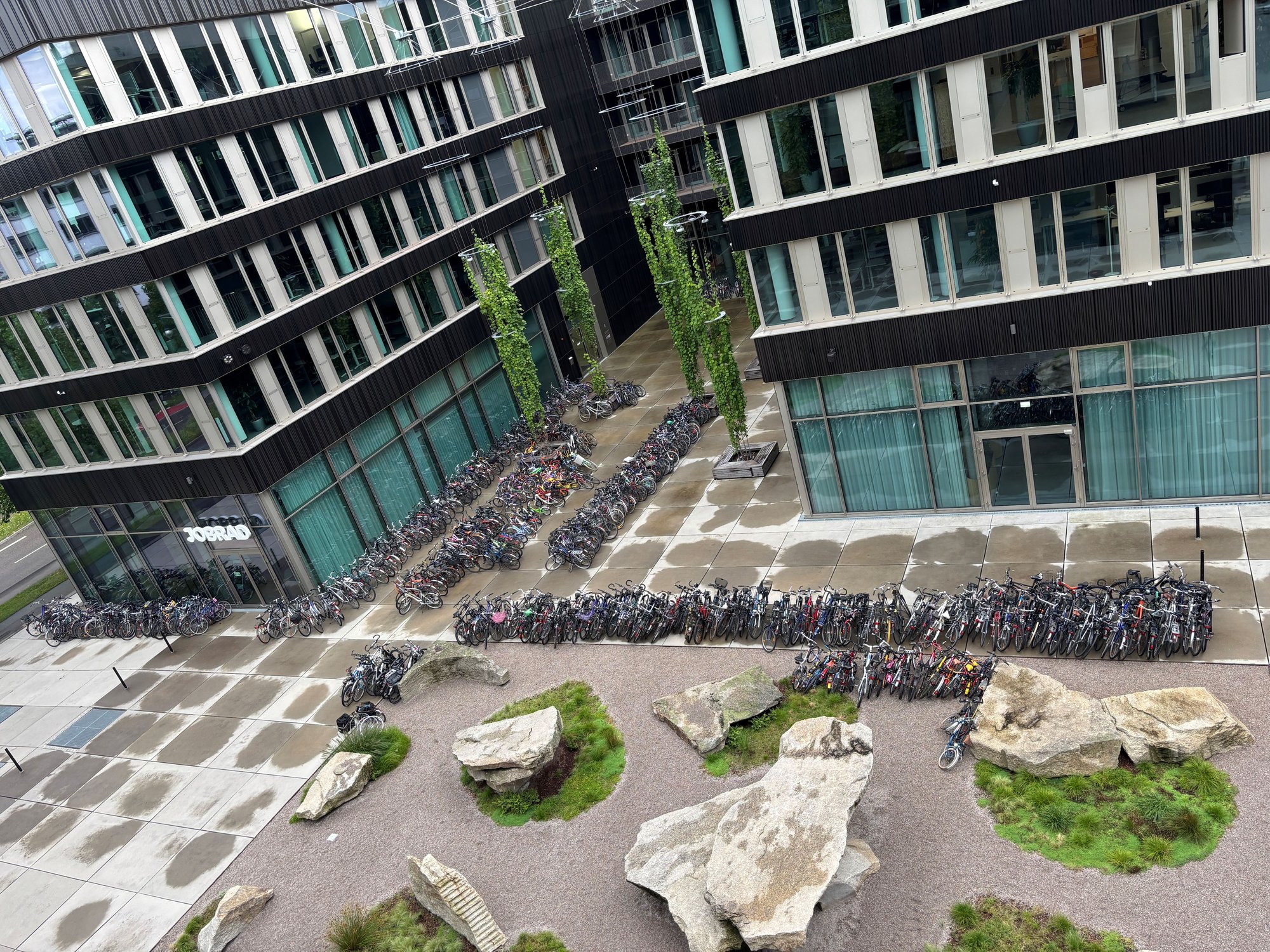 Freiburg zeigt Herz: Fast 500 Fahrräder für den guten Zweck gespendet