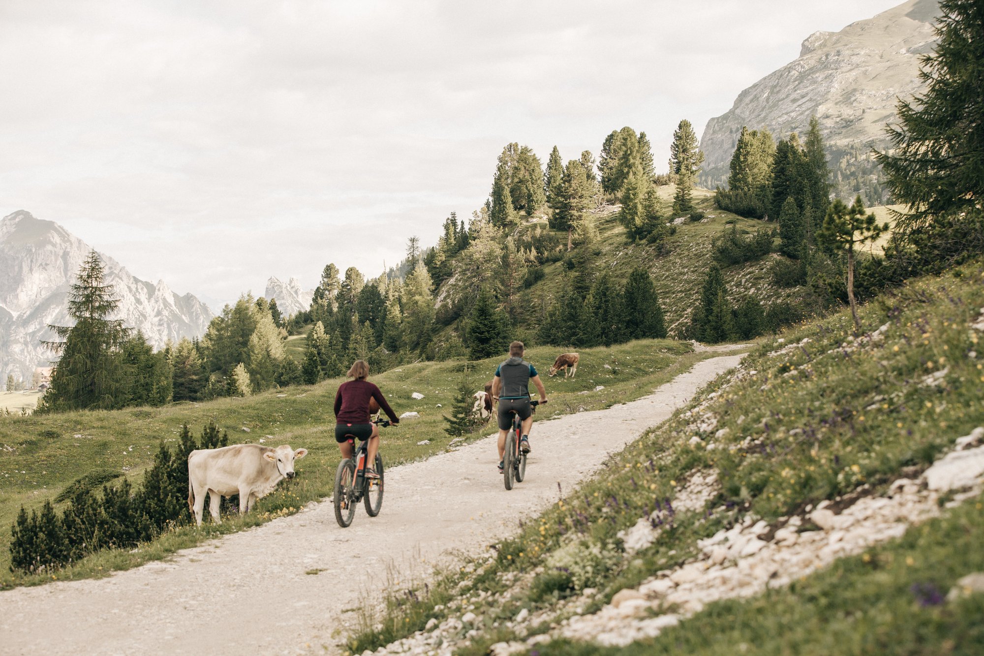 Mit dem Bike durch die Dolomiten: Drei Tourentipps aus dem Naturhotel Leitlhof, Südtirol