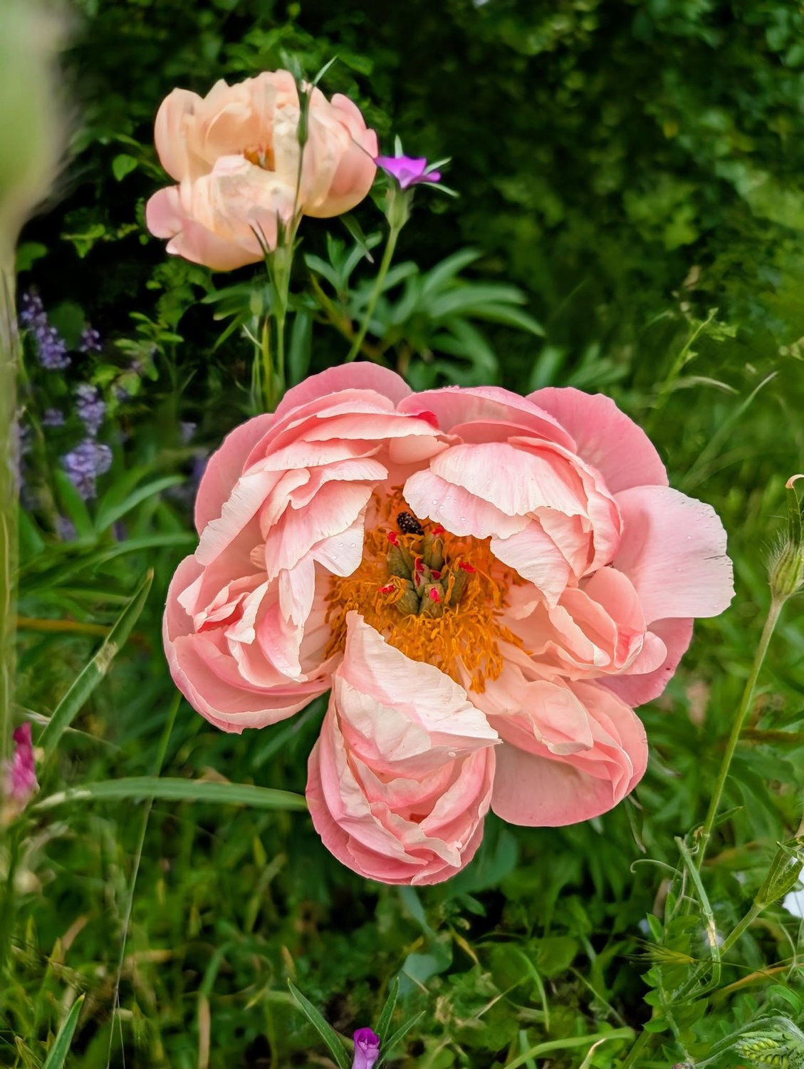 "Geldmanifestation" in der neuen Welt