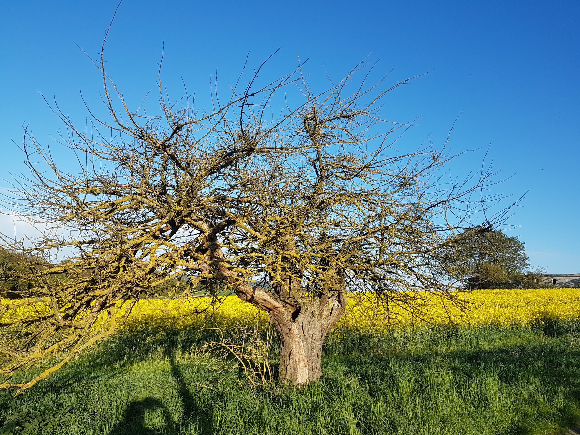 Meine Liebe zur Natur...