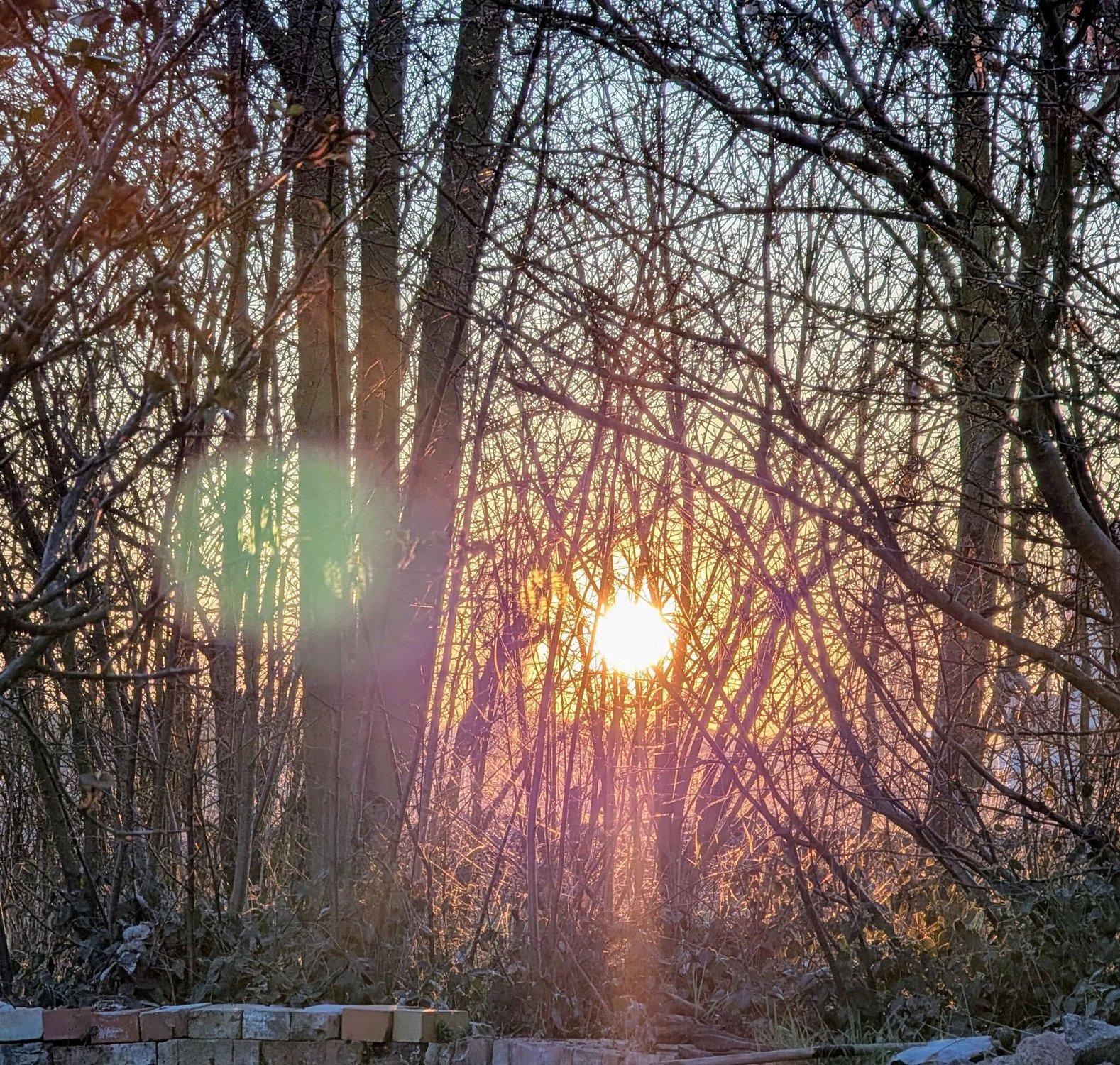 Von der Erschöpfung in die Lebendigkeit