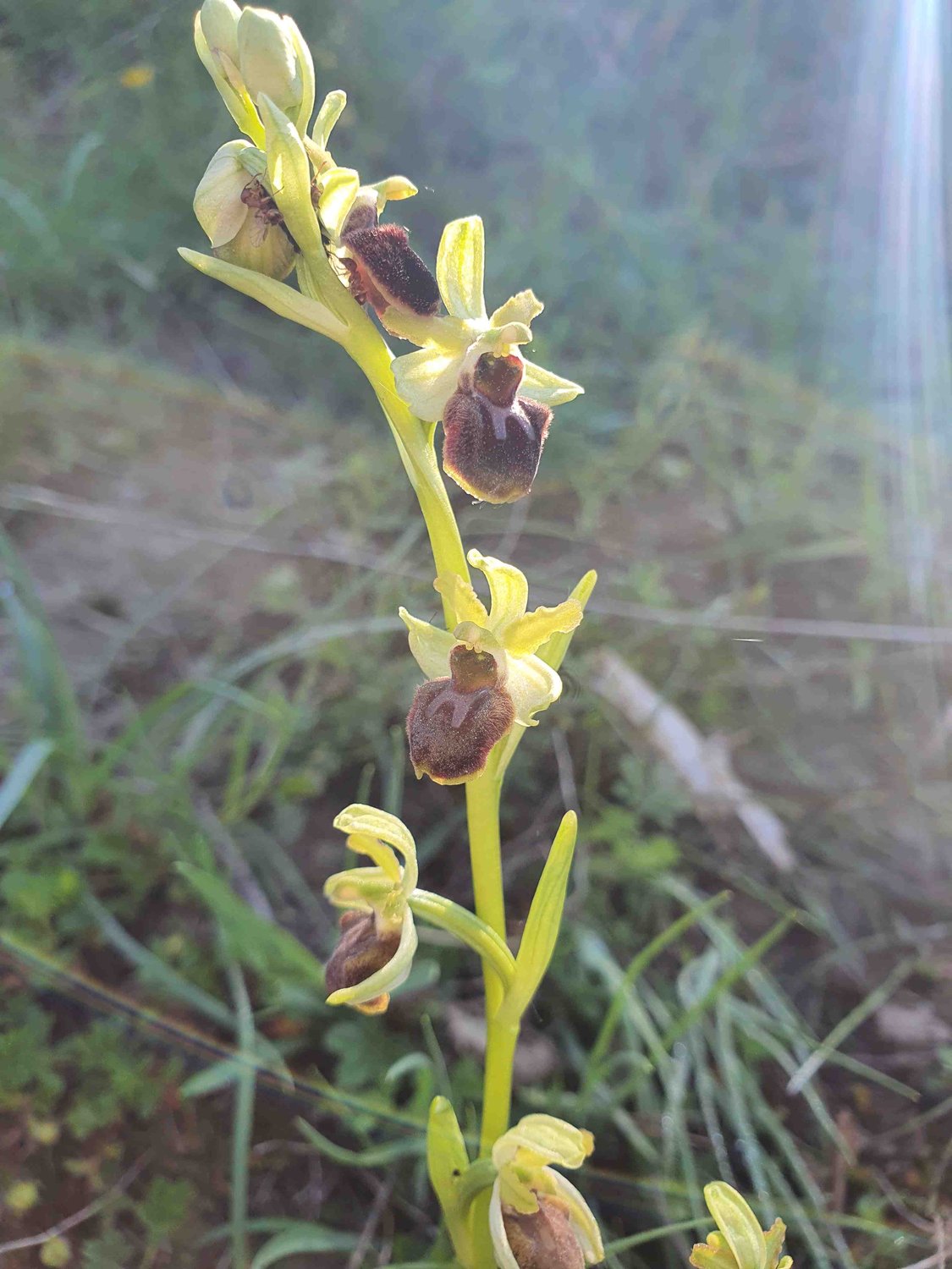 Ausflugstipp Leudelsbachtal