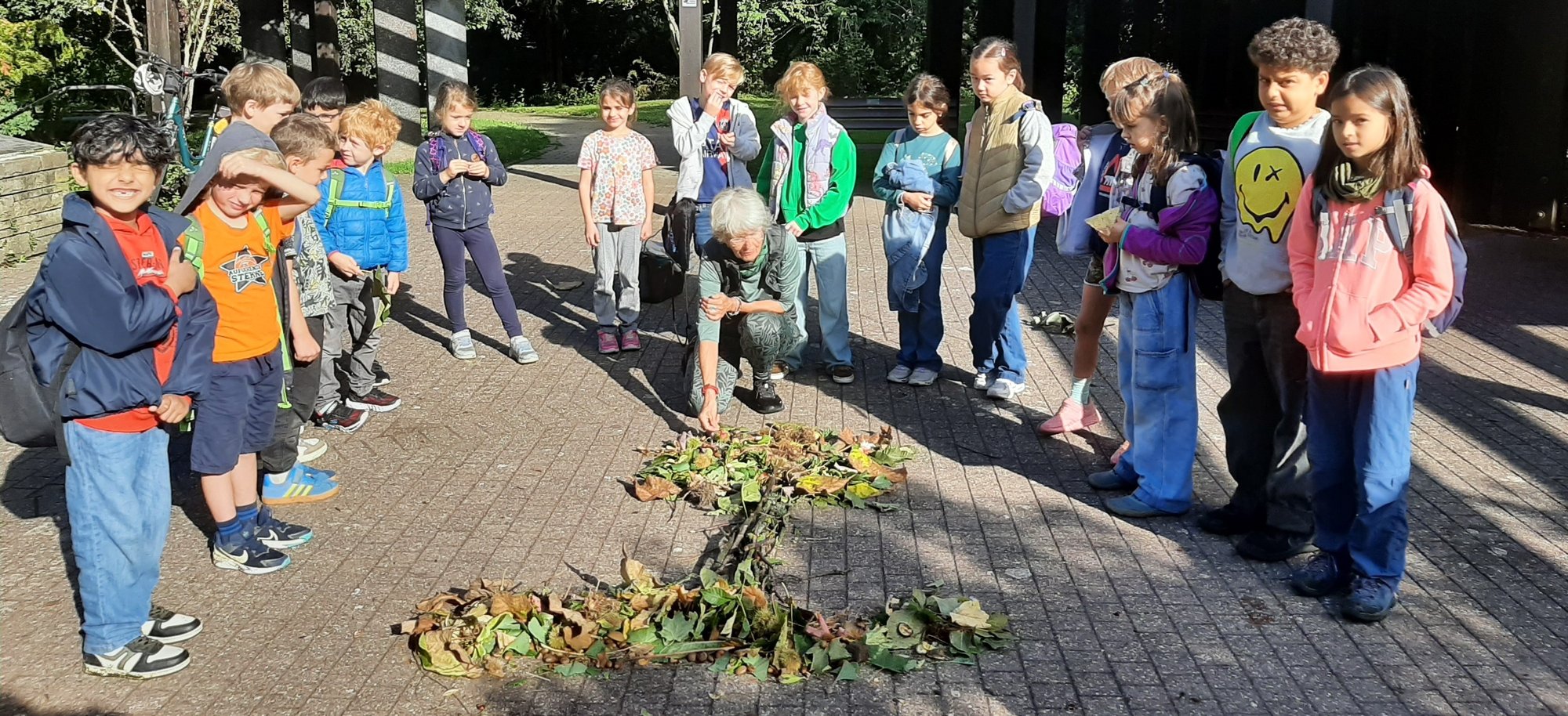 Baumführung mit der Tigerklasse