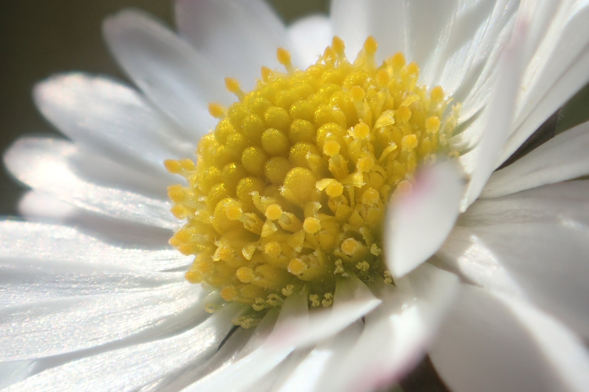 Formation à la Communication NonViolente (CNV) | stage d'initiation