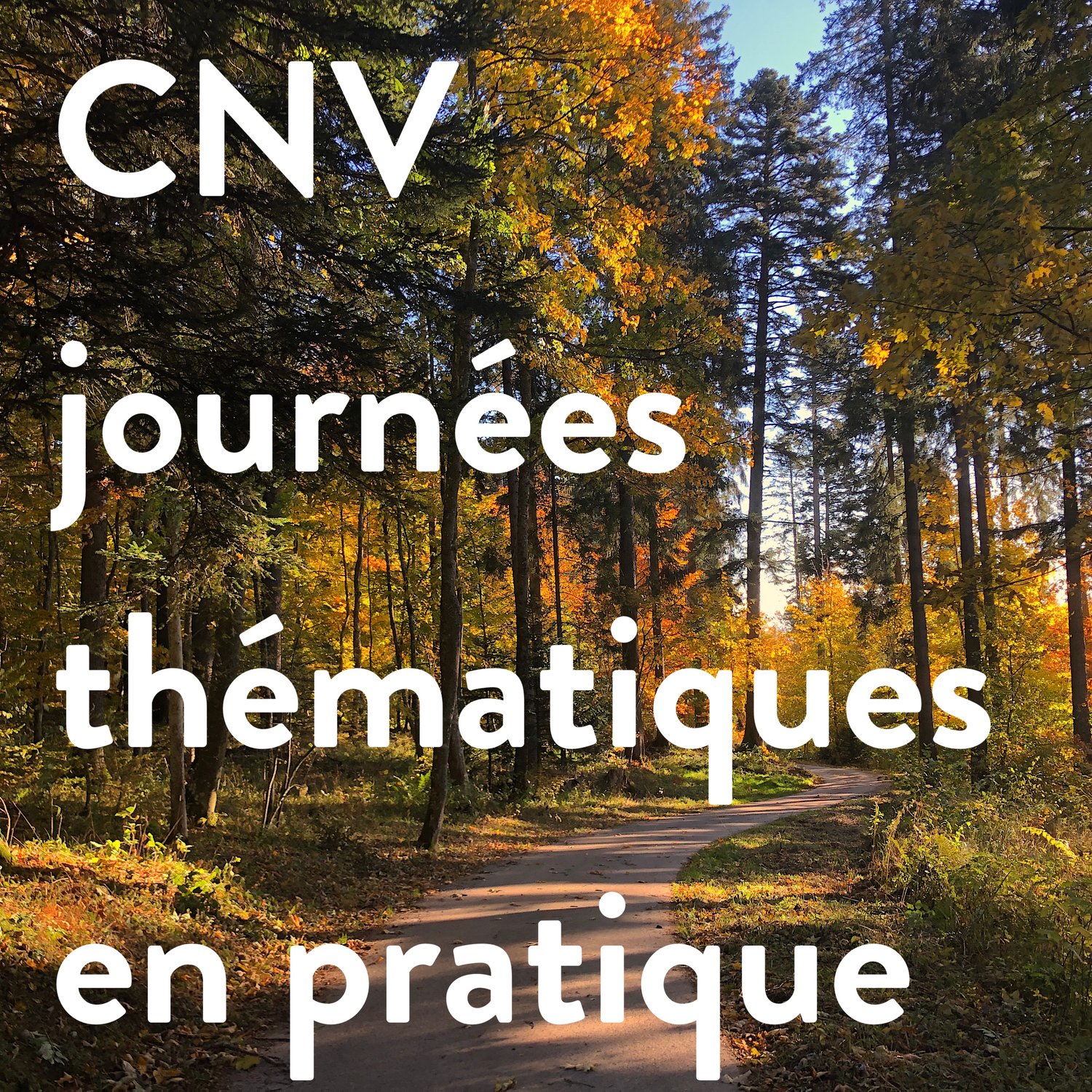 Journées CNV thématiques - approfondissement et formation continue en Communication NonViolente