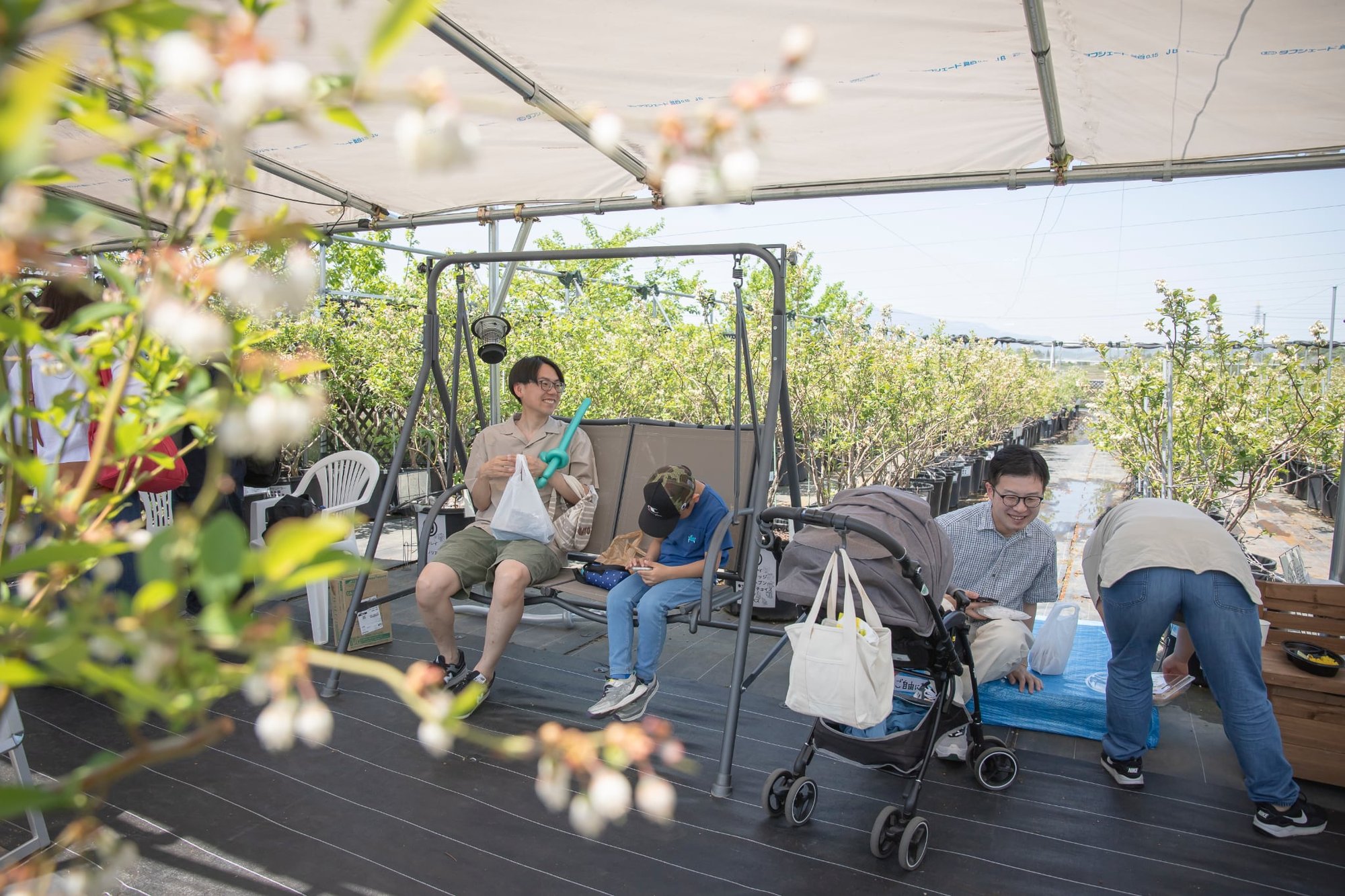 【お知らせ】4/20ブルーベリーパークYOGA　～ベリーズパーク郡山～