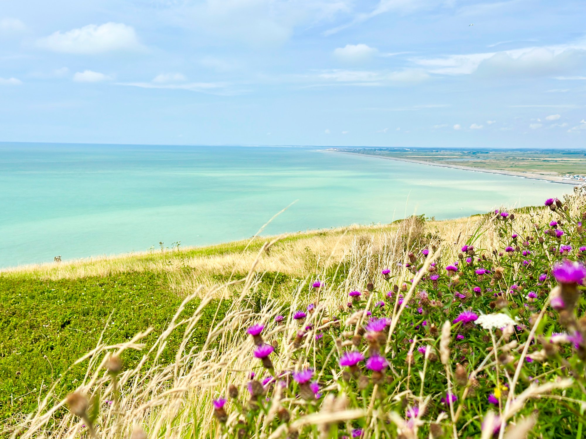 Grosse Nikon Z8 und Nikkor Z 85mm 1:1,2 S Liebe