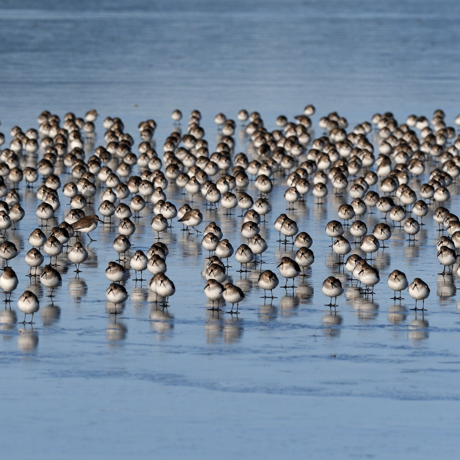 Hauptversammlung 2024