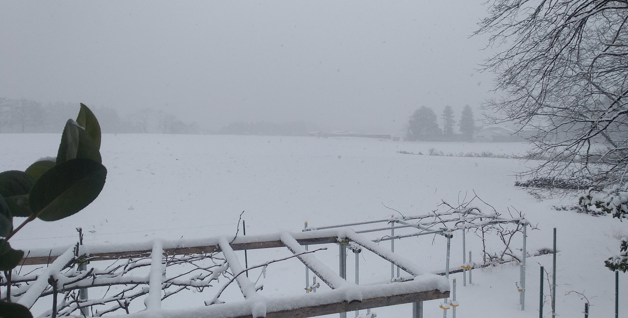 除雪の寒さ対策