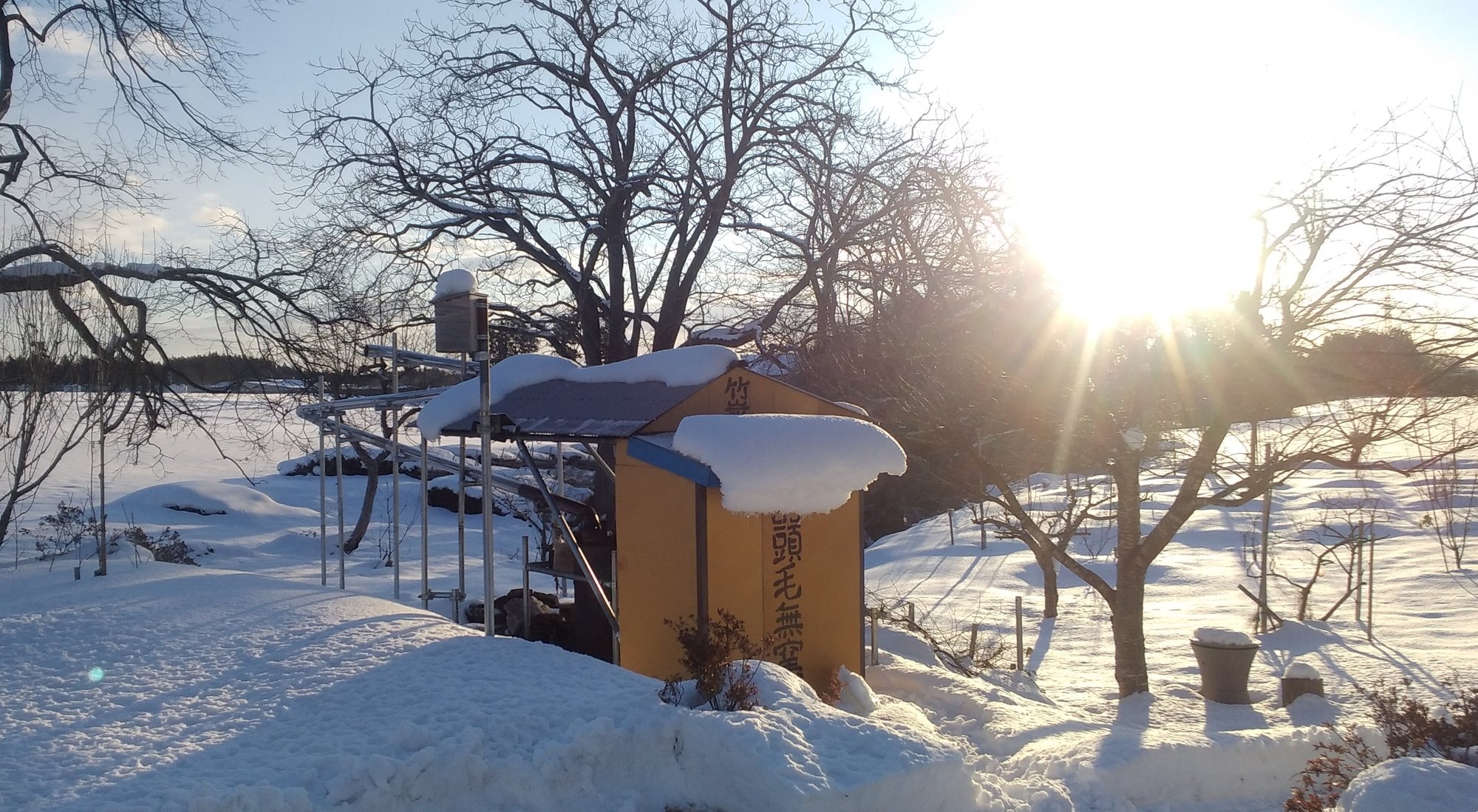 真冬の竹炭作り