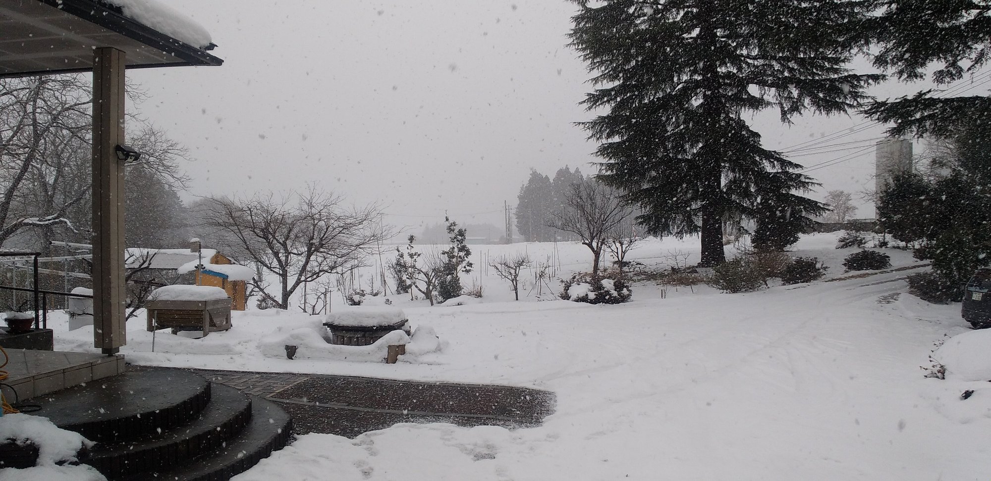 なめたらいかんぜよ