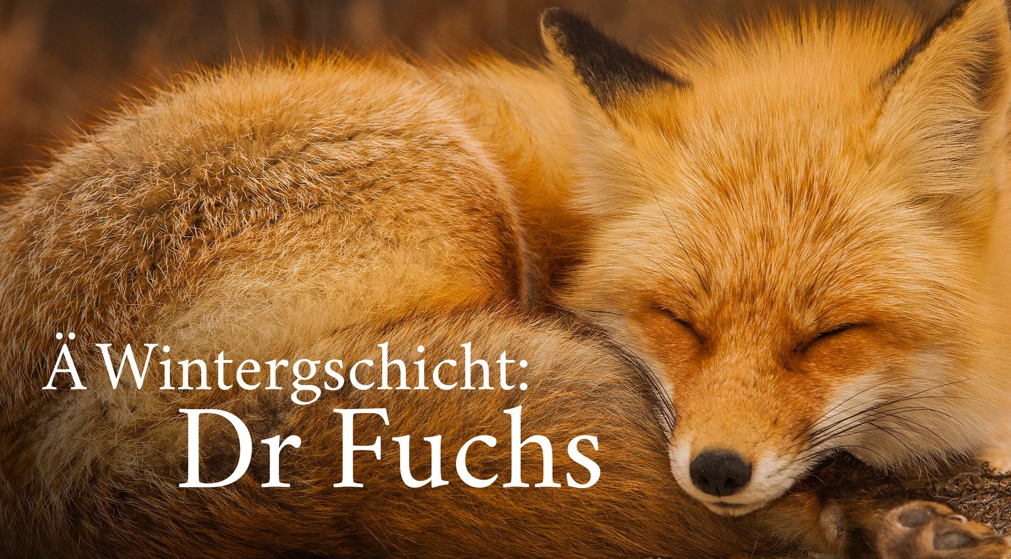 Ä Wintergschicht: Dr Fuchs