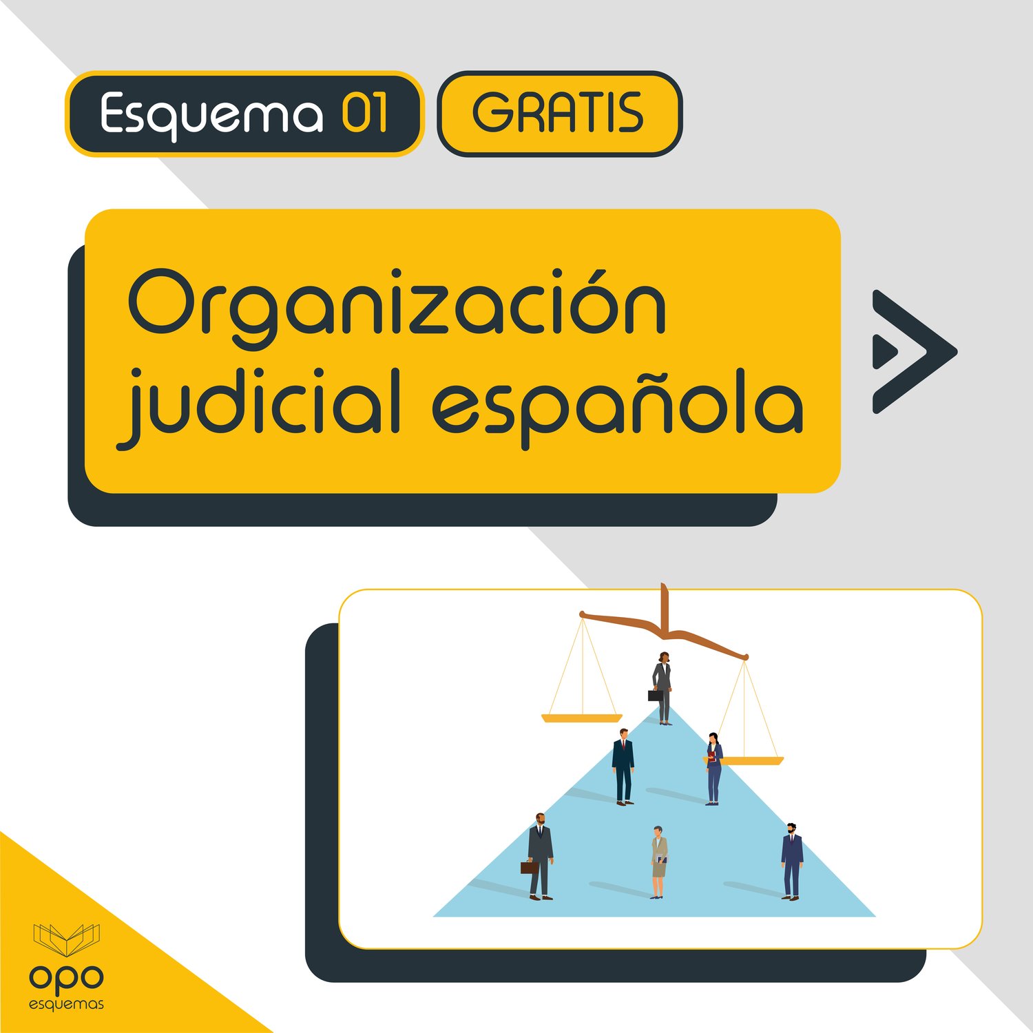 Esquemas Oposiciones Organización judicial española.