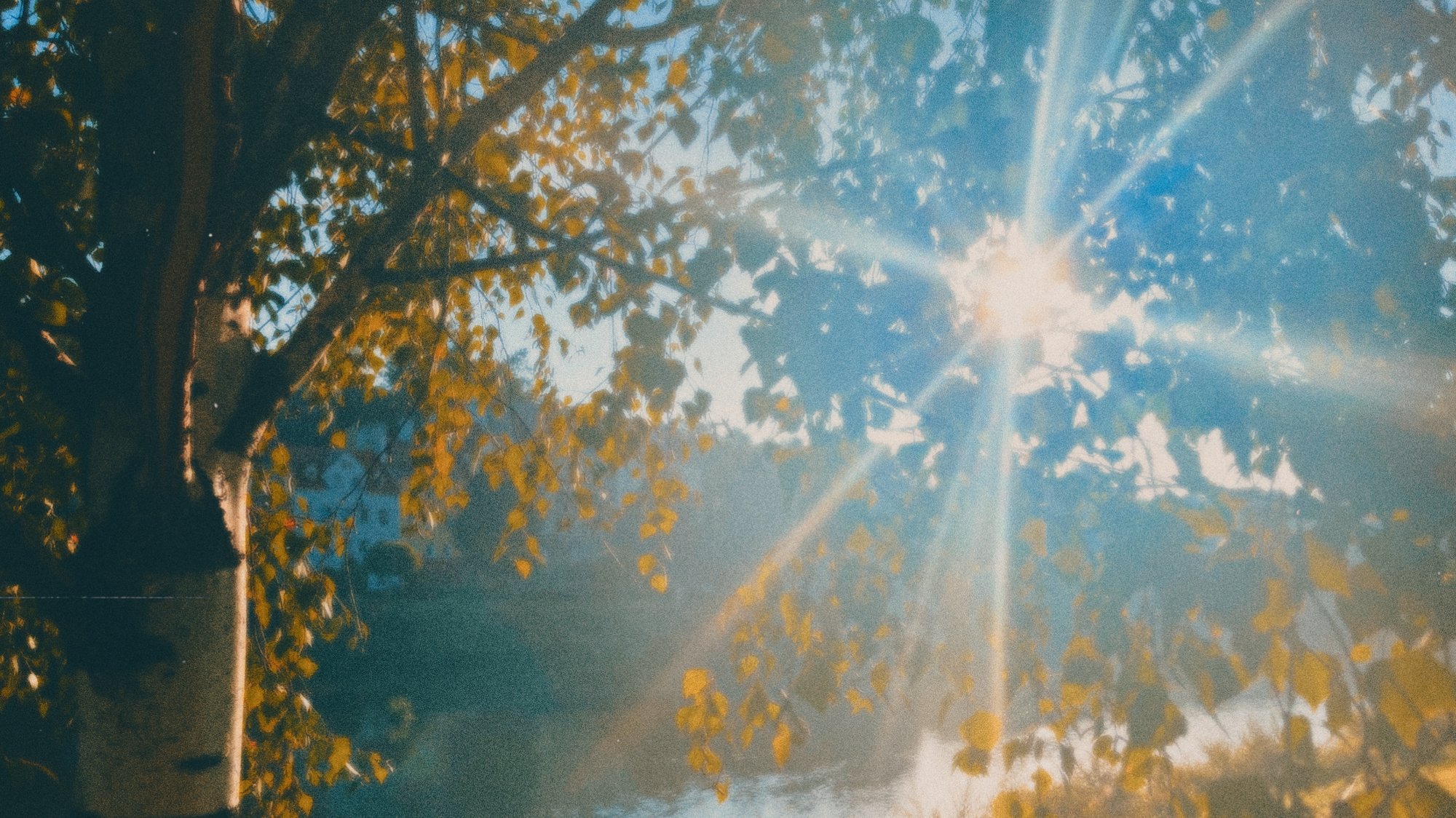 TAGESKLADDE #1 RÜHREI