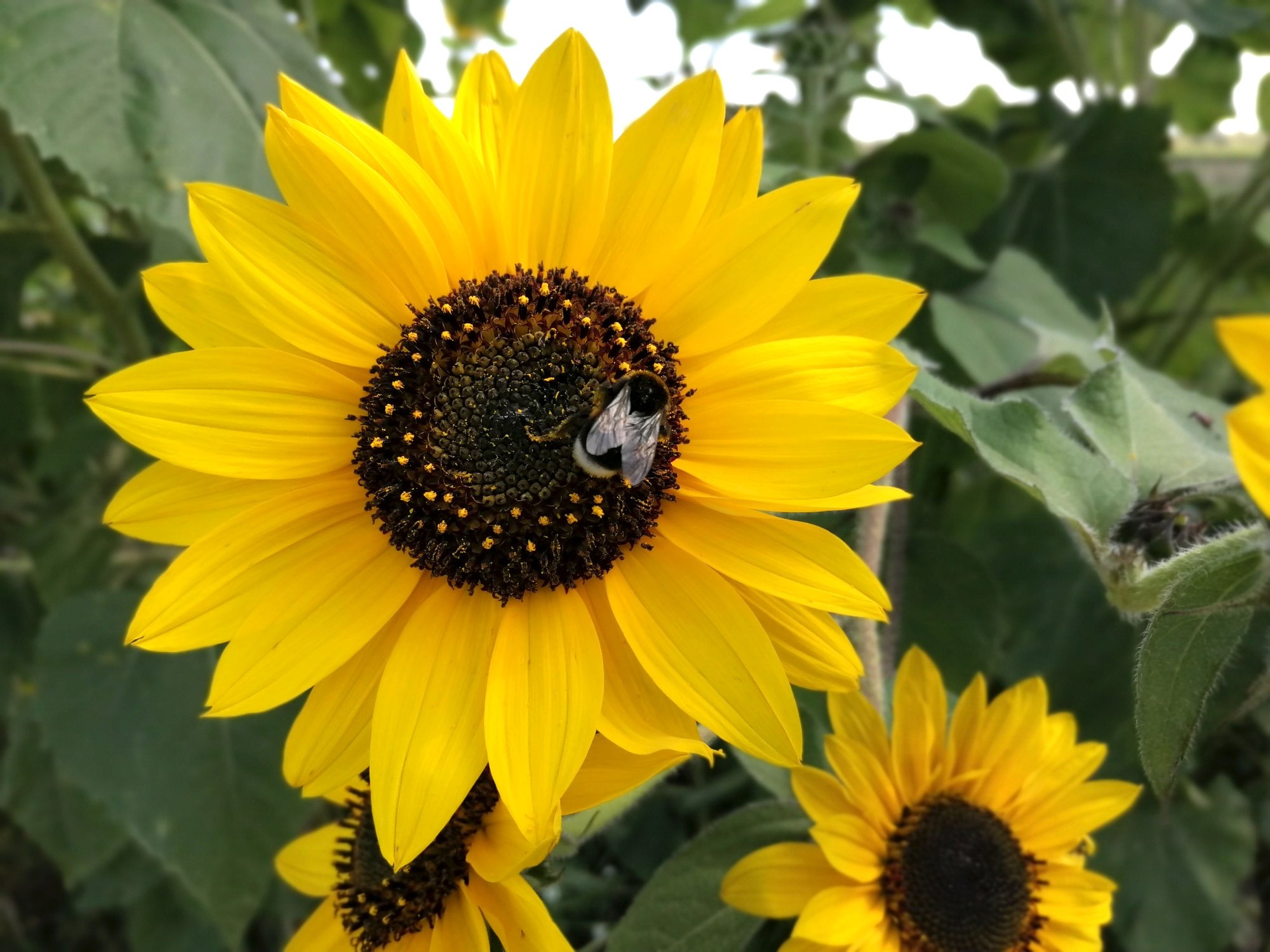 Wenn der Akku leer ist