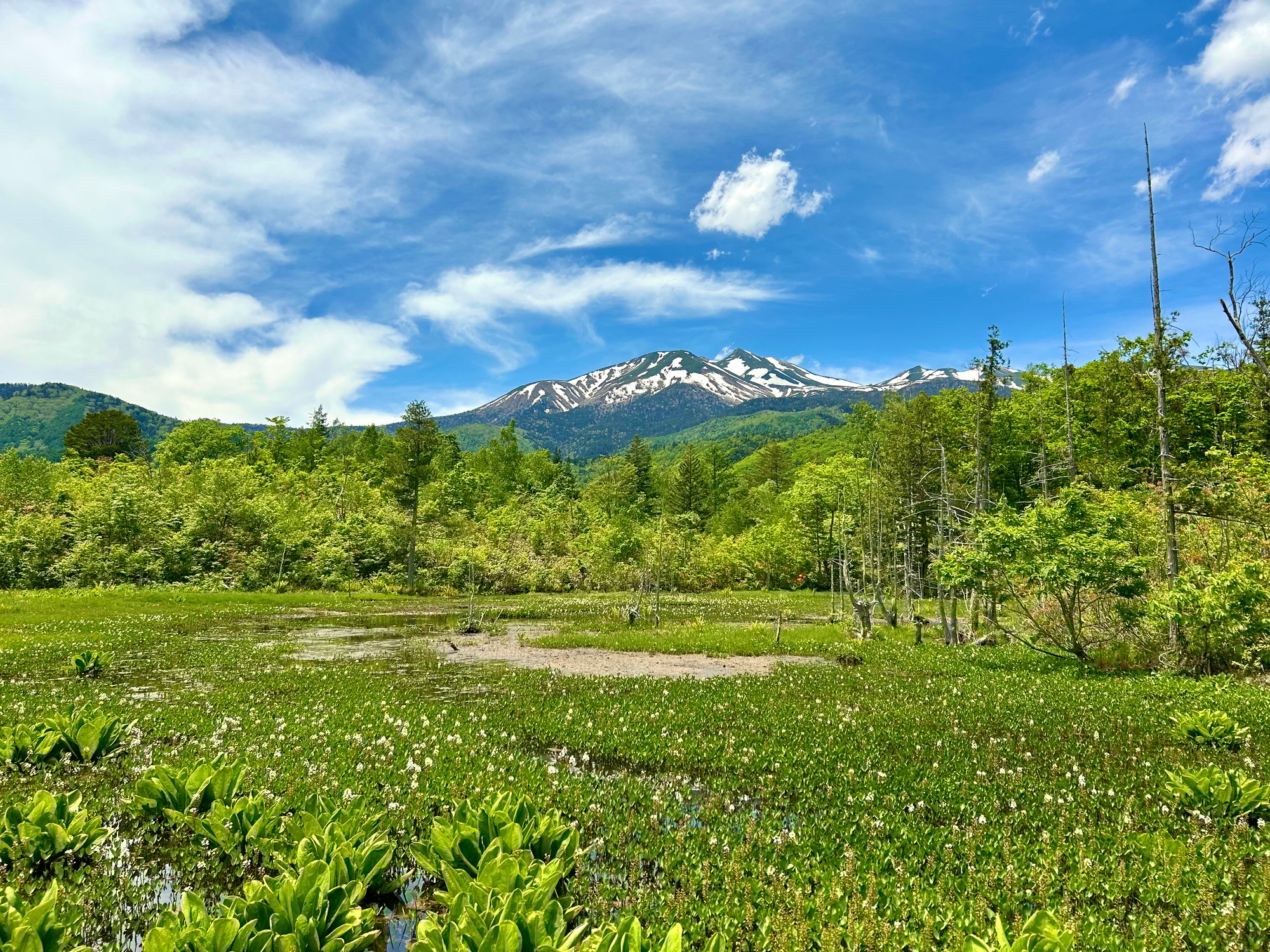 ★夏休みは乗鞍高原へ。