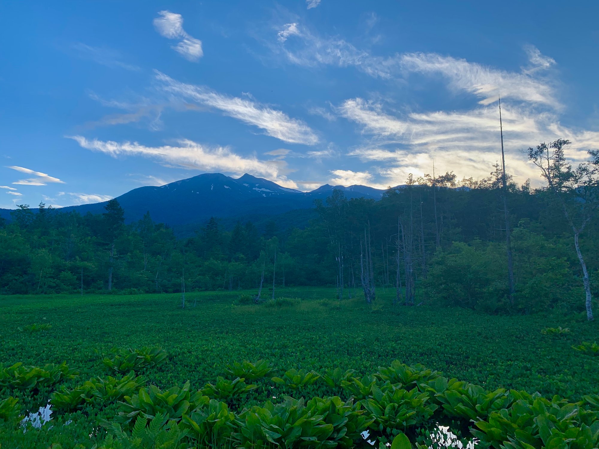 ☆高原サイクリング。