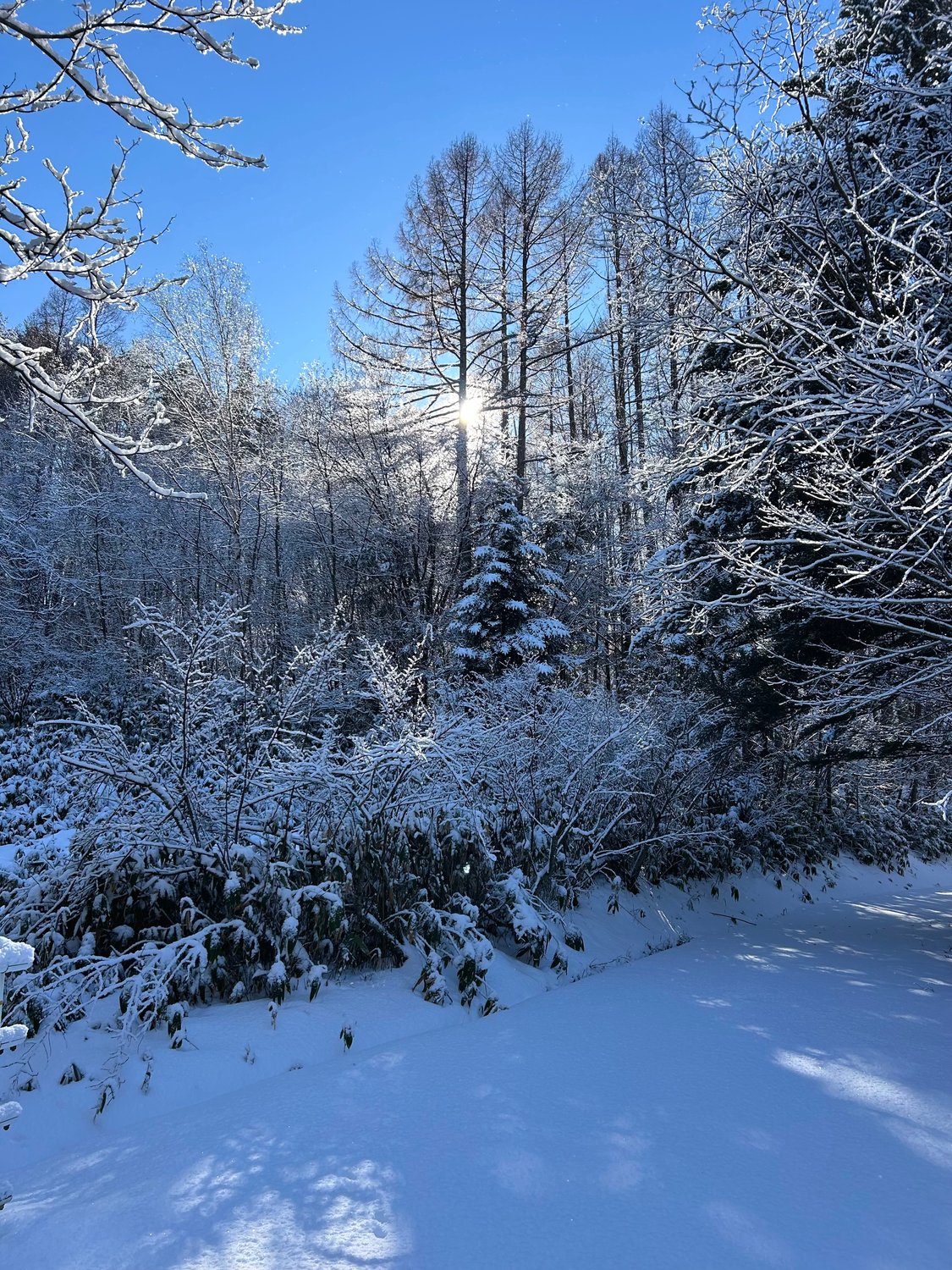 ★ありがとうございました。