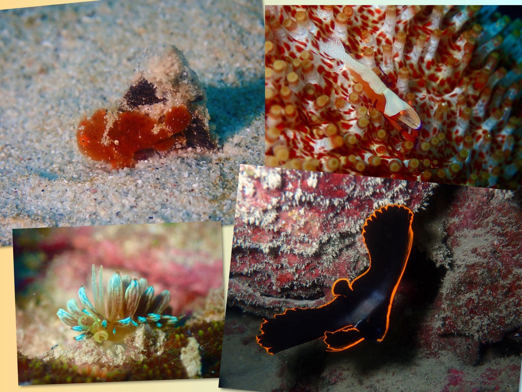 北風の吹くシーズンも楽しめる海…