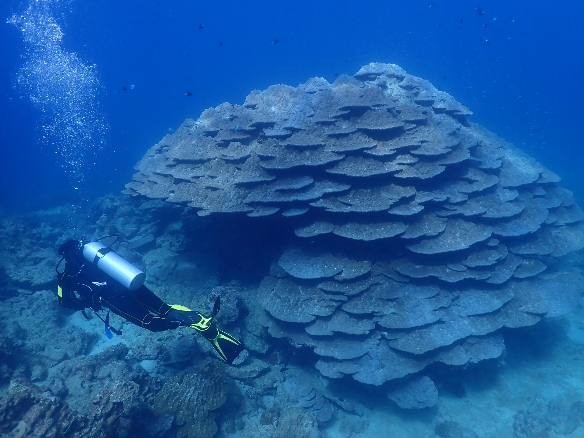 冬場も楽しめる沖縄の海♪