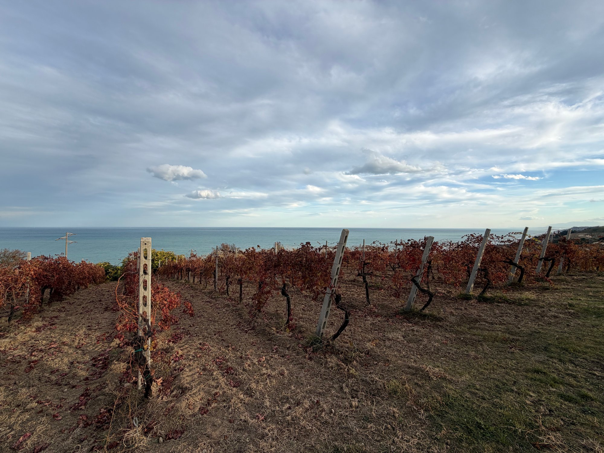 Das unbekannte Italien - die faszinierende Weinregion Marken