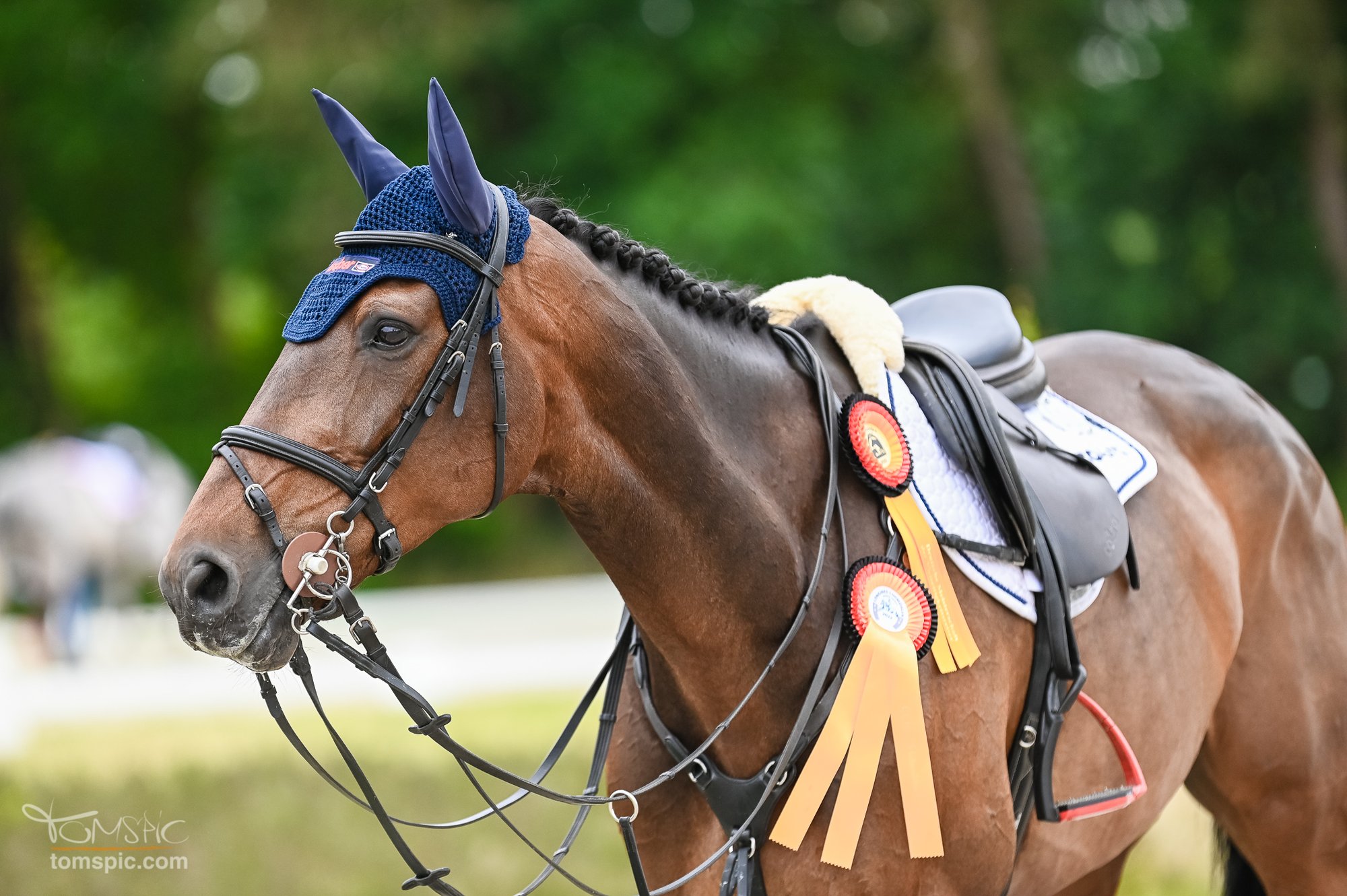 Vielseitigkeit DM in Luhmühlen