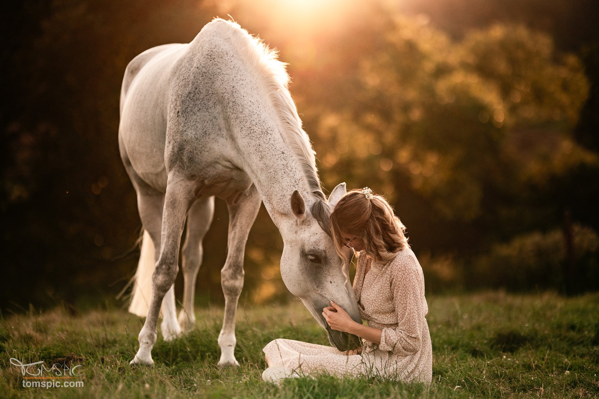 Shooting mit Mone | Pferdefotografie Baden-Württemberg