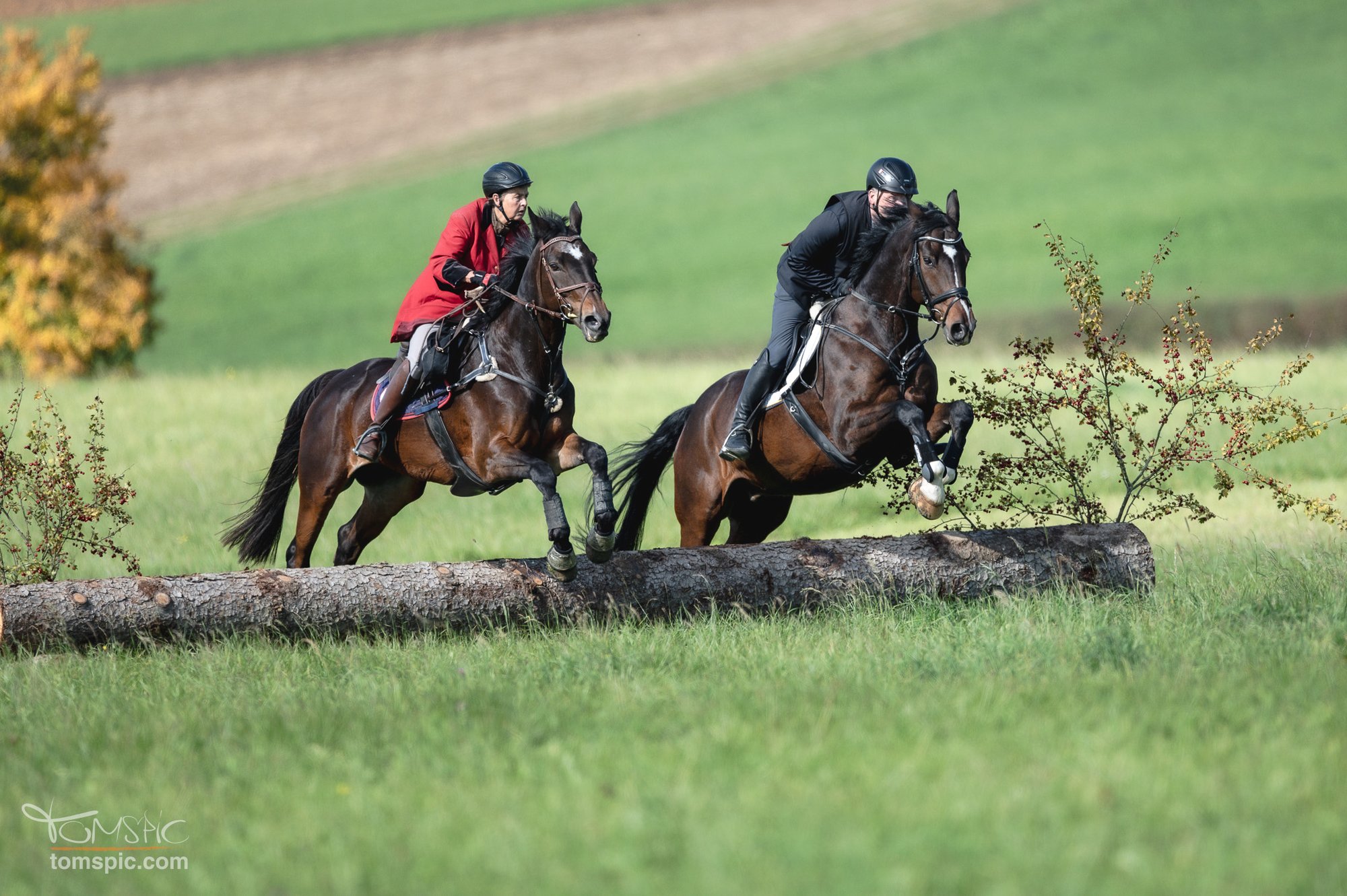 Herbstjagd in Marbach