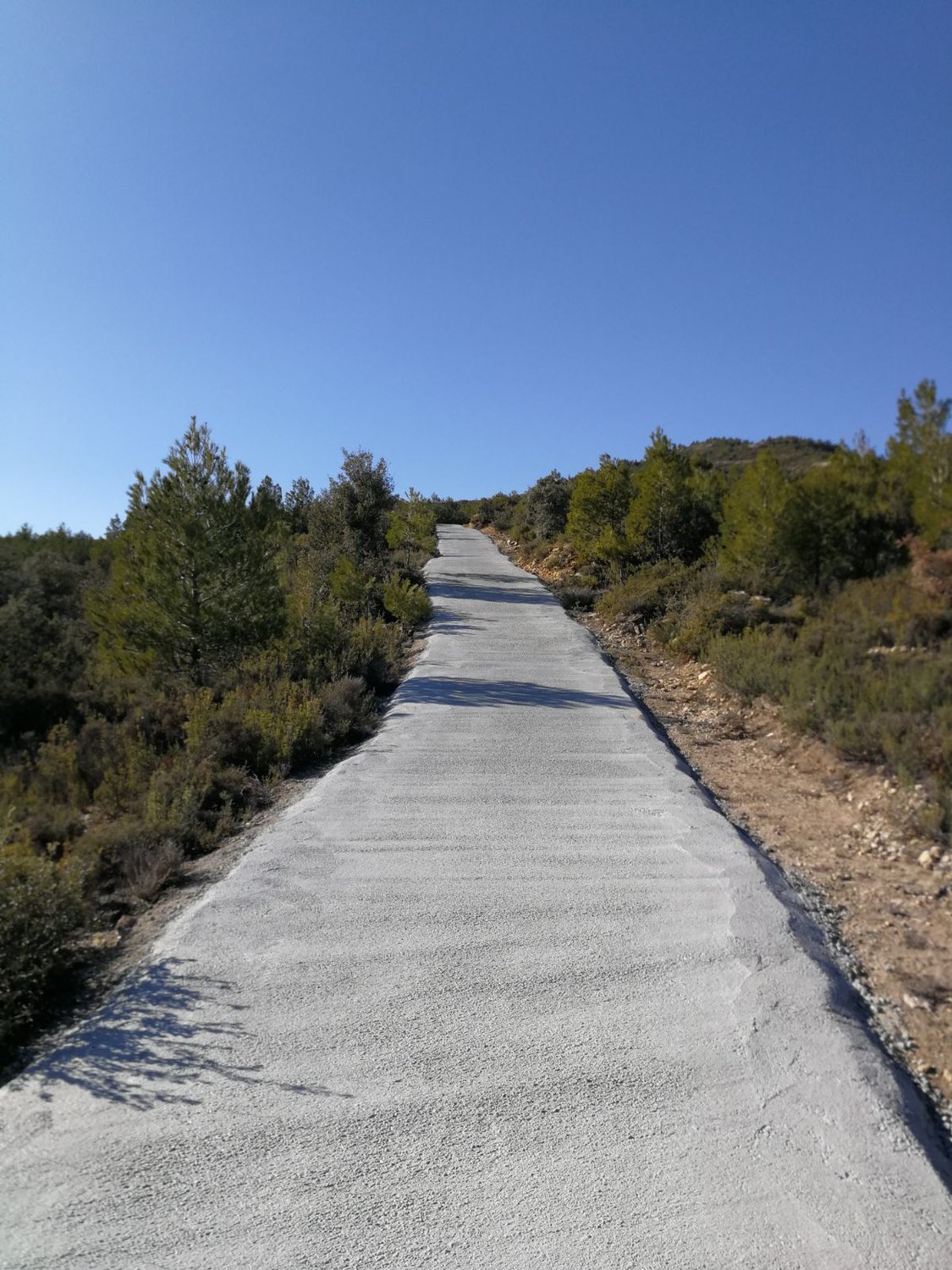 Pavimentación pista municipal Roca Tallada (Palanques).