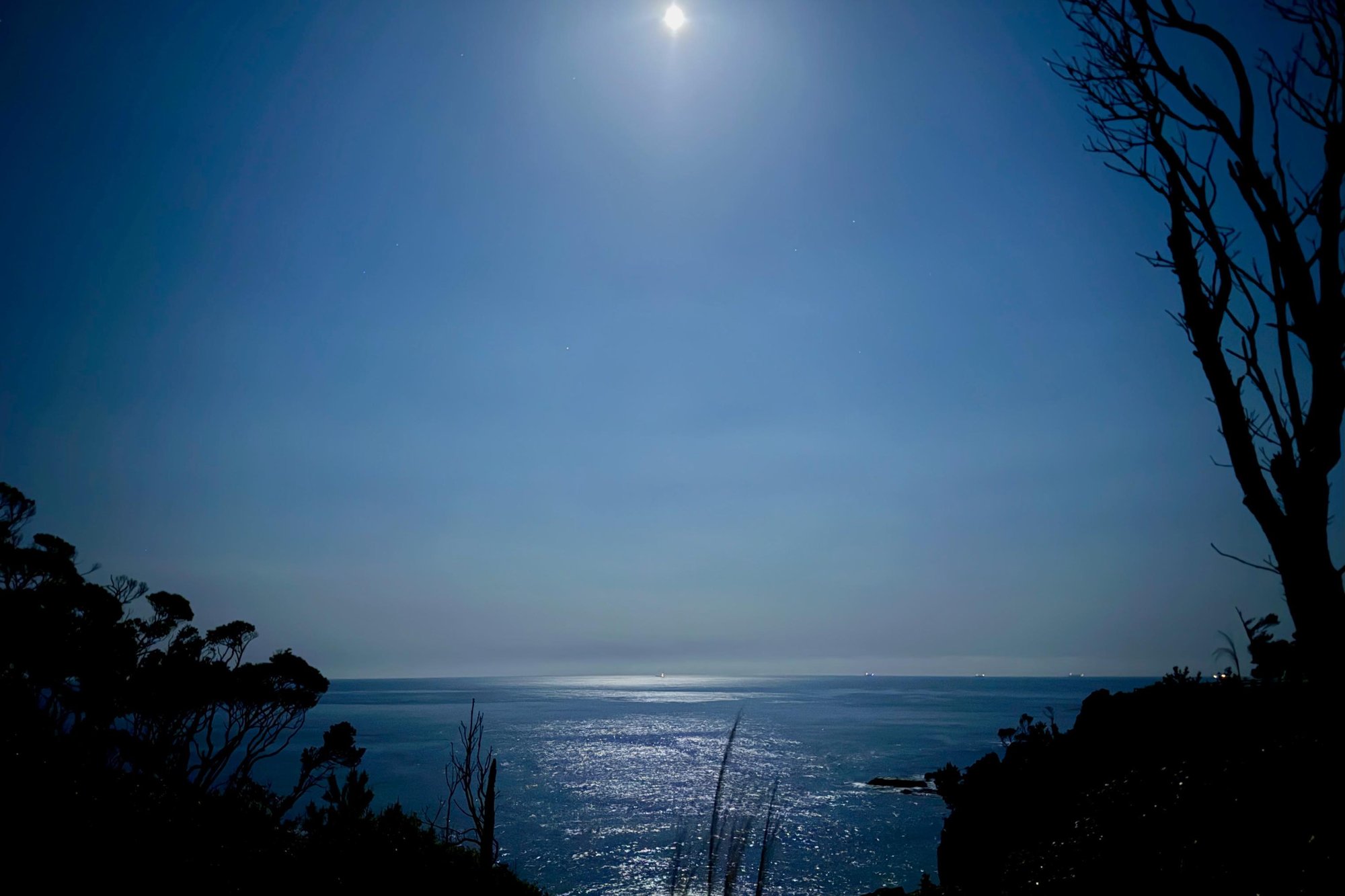 【Report】｢ち｣から｢道・みち｣へ《熊野古道》