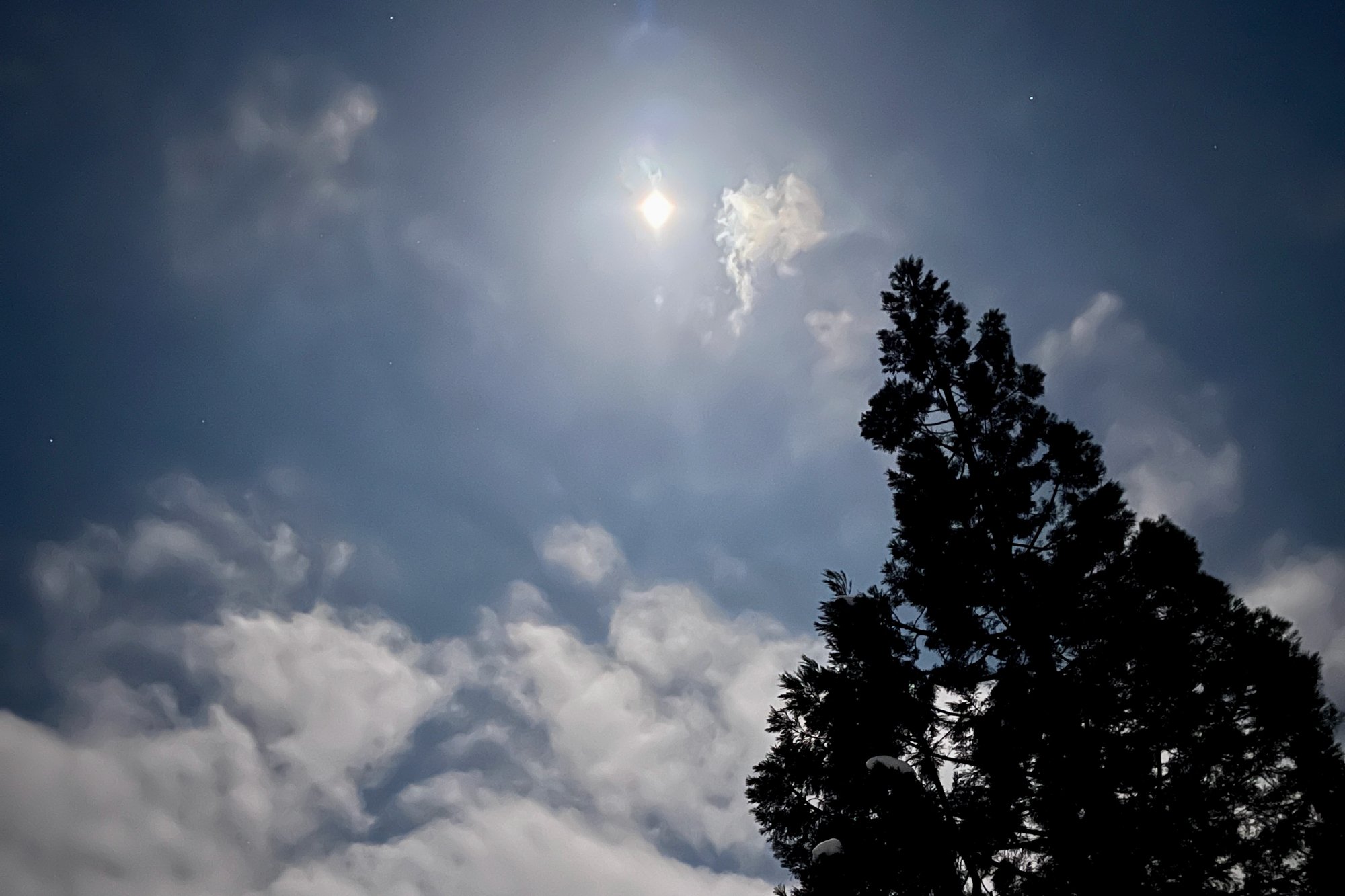 【Report】歩く対話、寝転ぶ対話、食べる対話…《秋山郷》