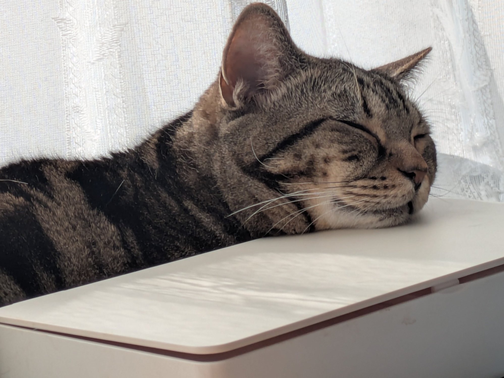 寒い日は・・・