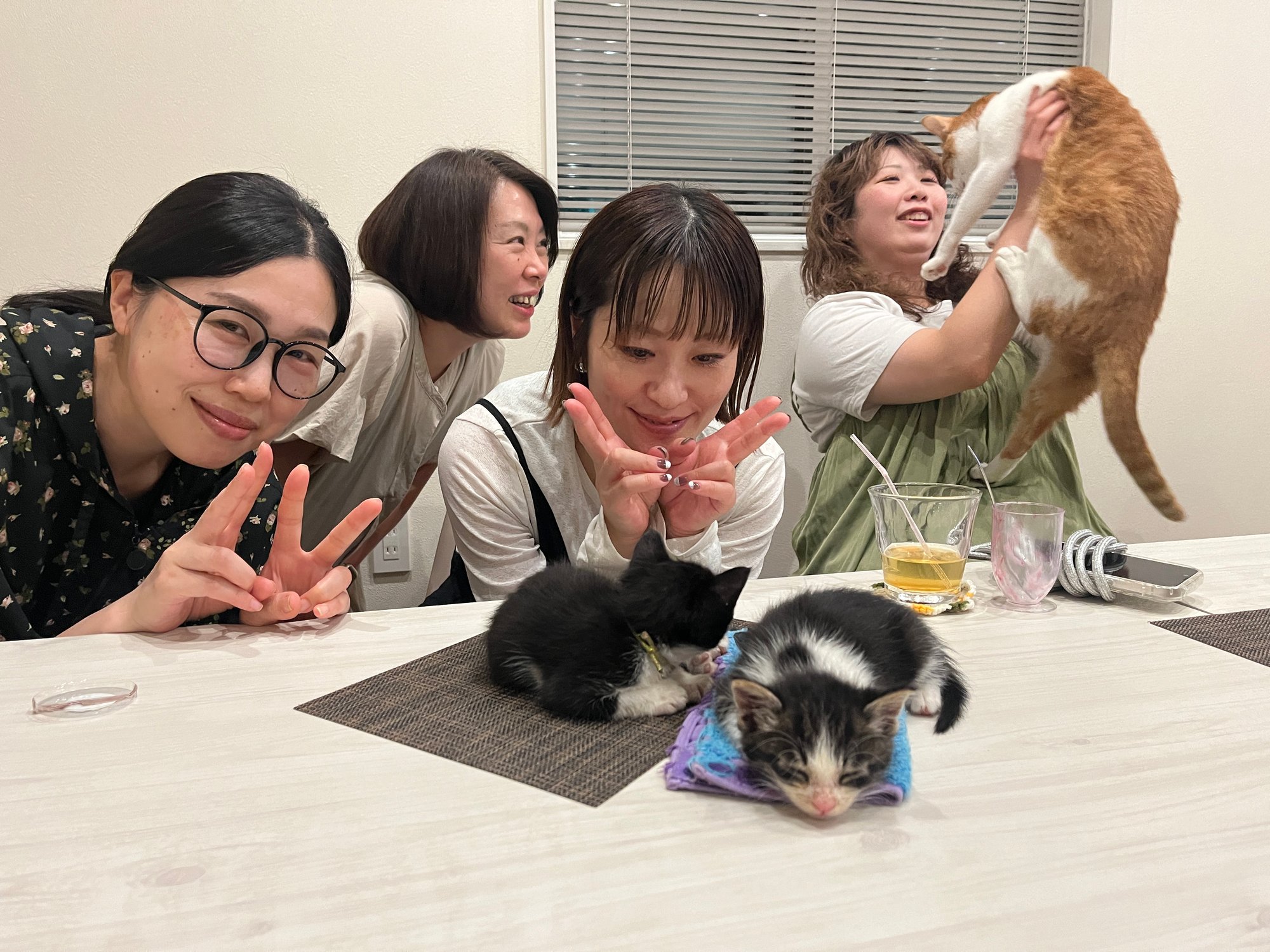 【イベント】6月にゃ会