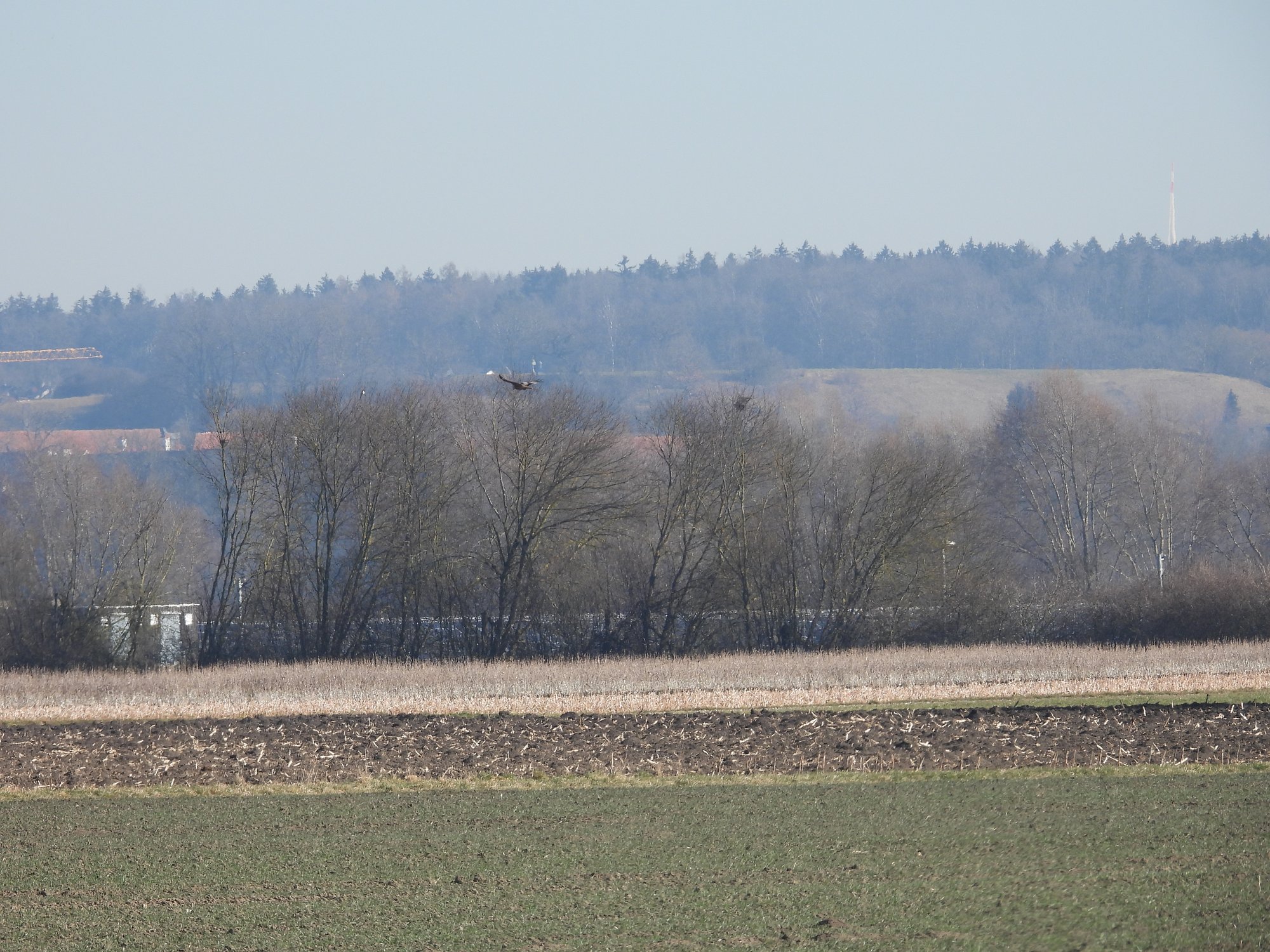 Kurswechsel in der Agrarpolitik