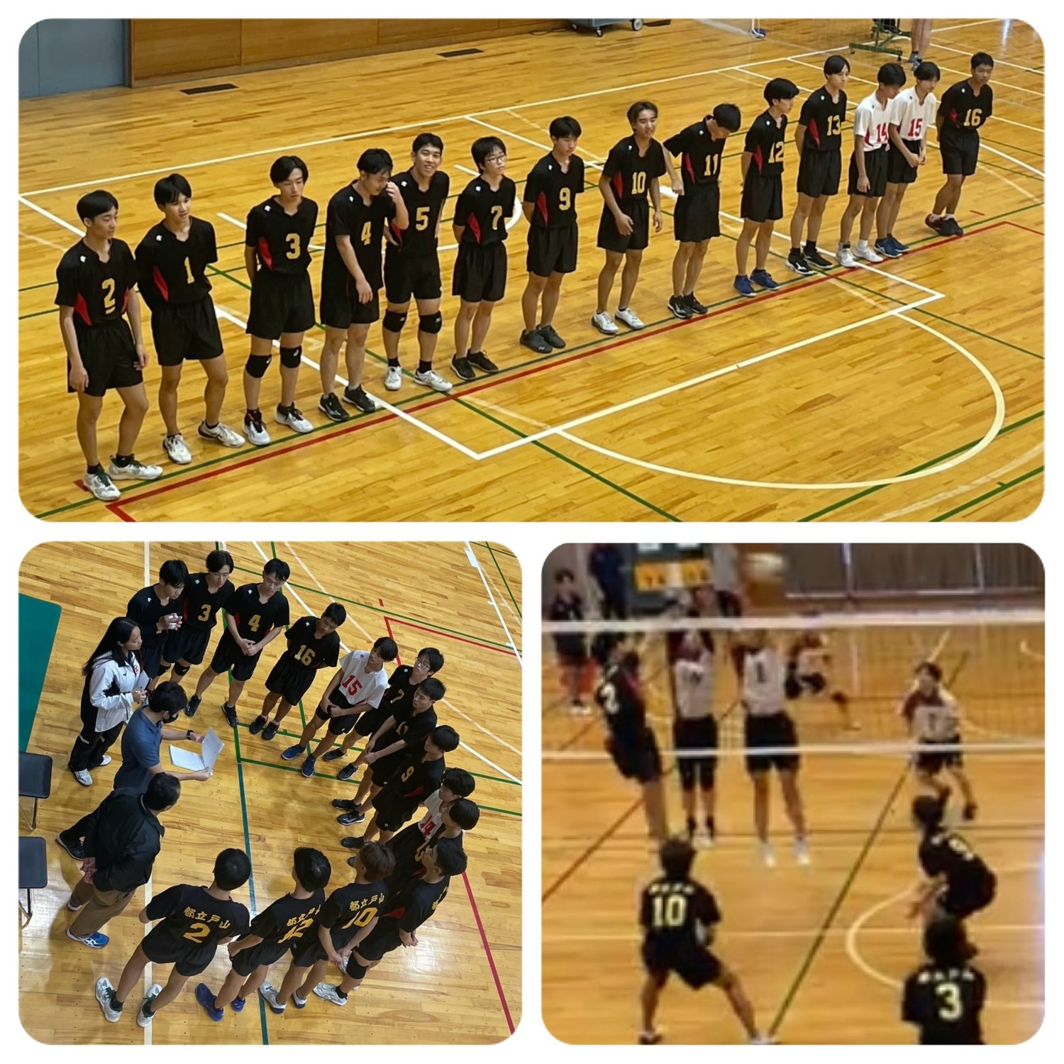 男子バレーボール部　東京都高等学校新人大会(一次大会)