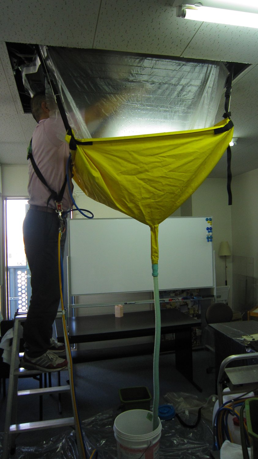 興味津々のインサイド